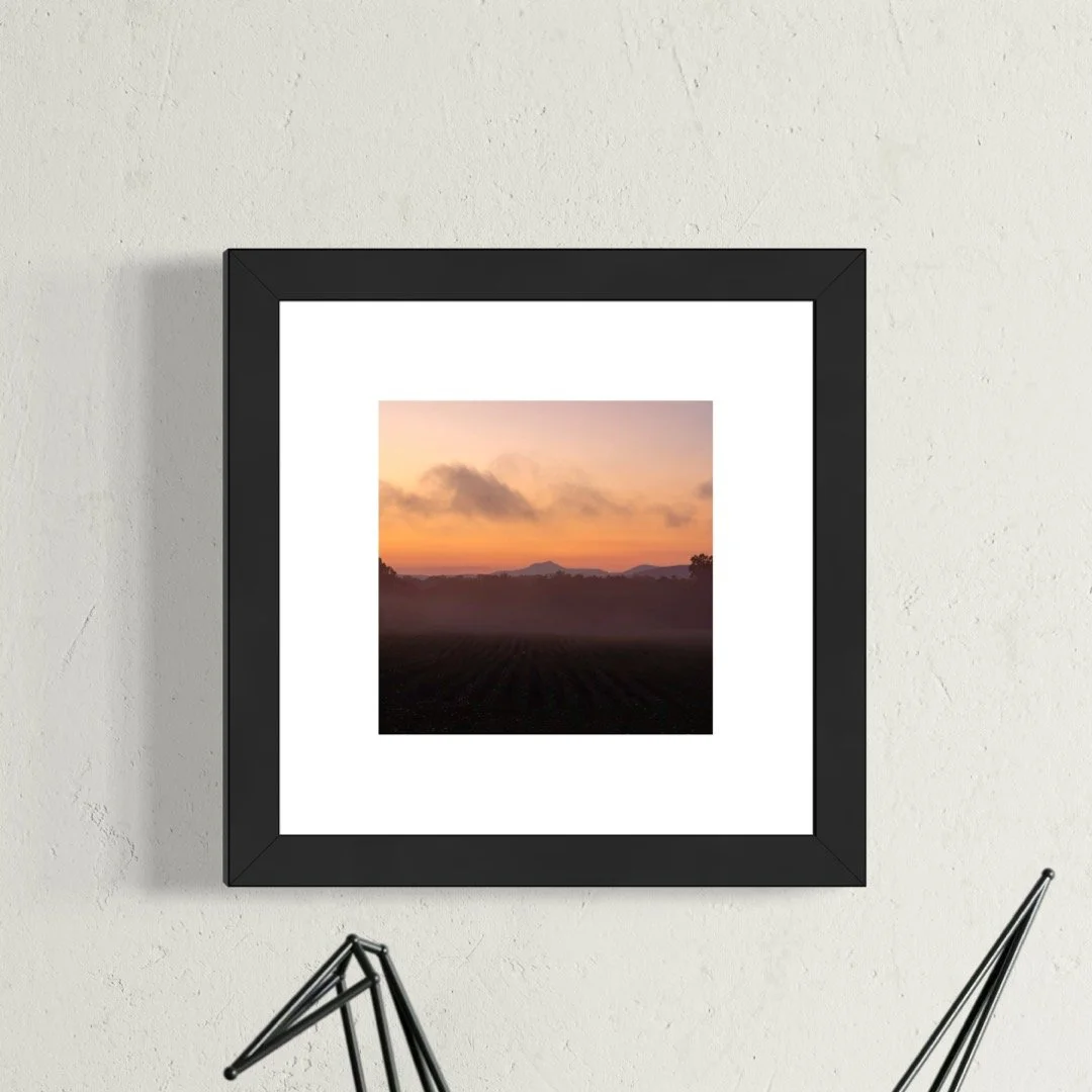 IMGB2815 6x6 1.125 FRAME.JPG