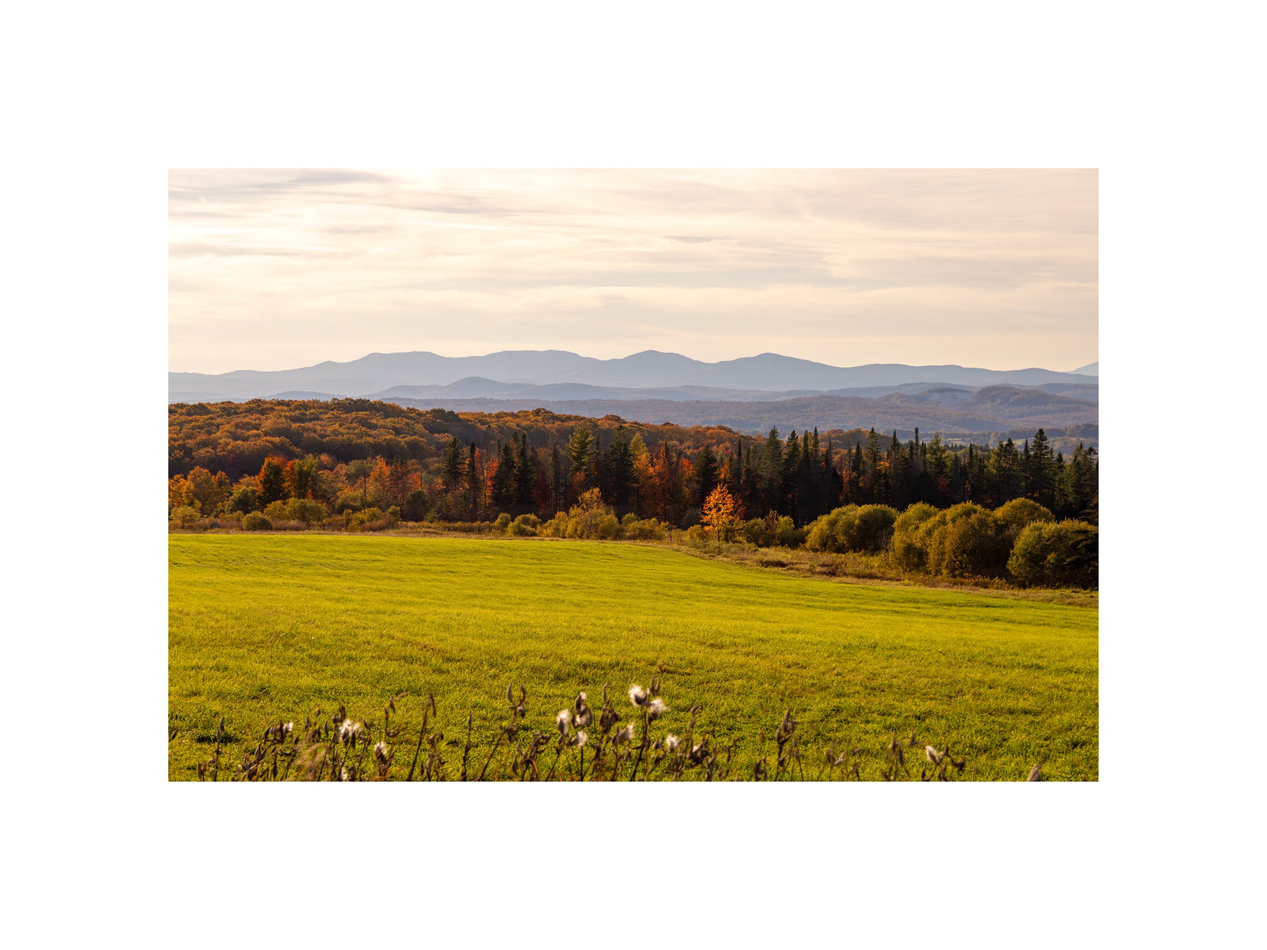 IMGC9704 12X16 2.125 CAT.jpg