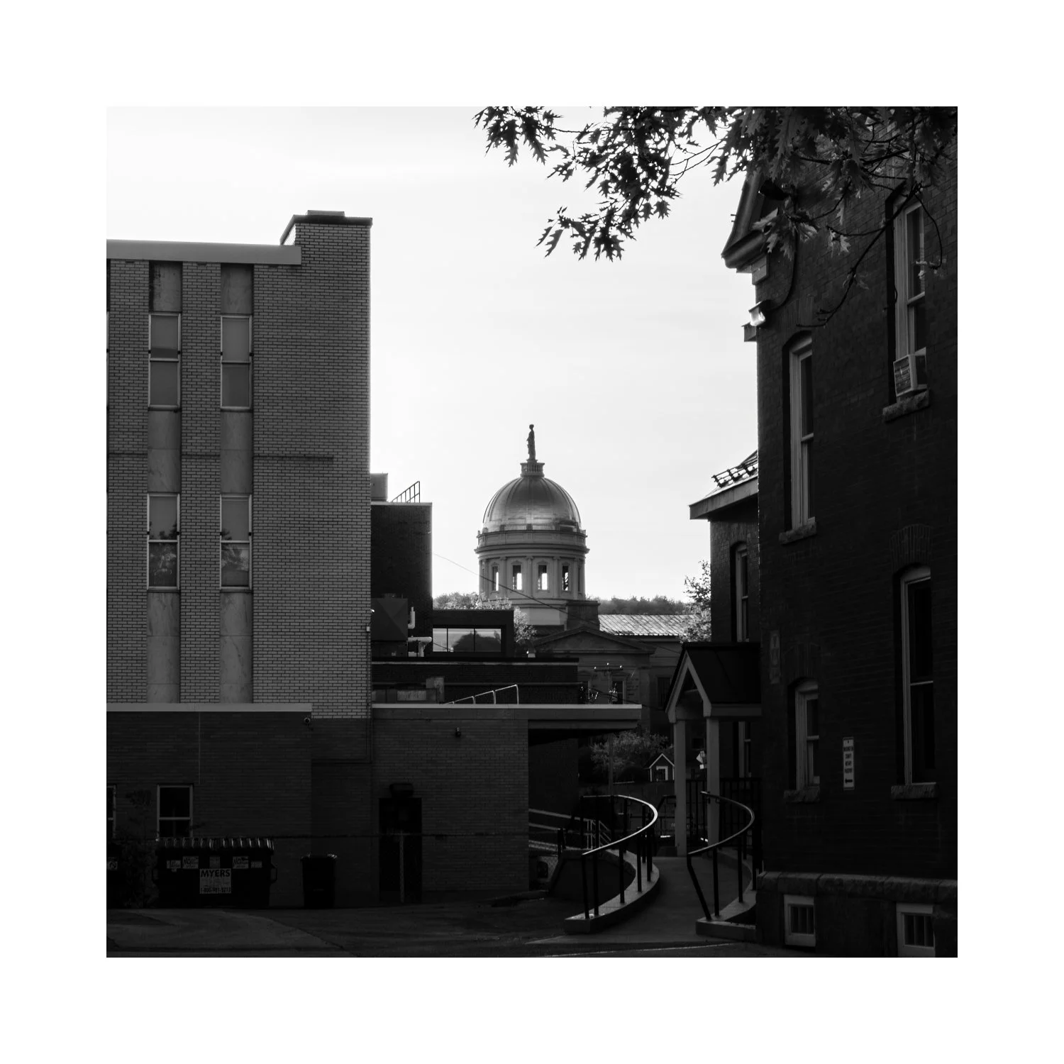 IMGA2392 5x5 0.5 CAT.jpg