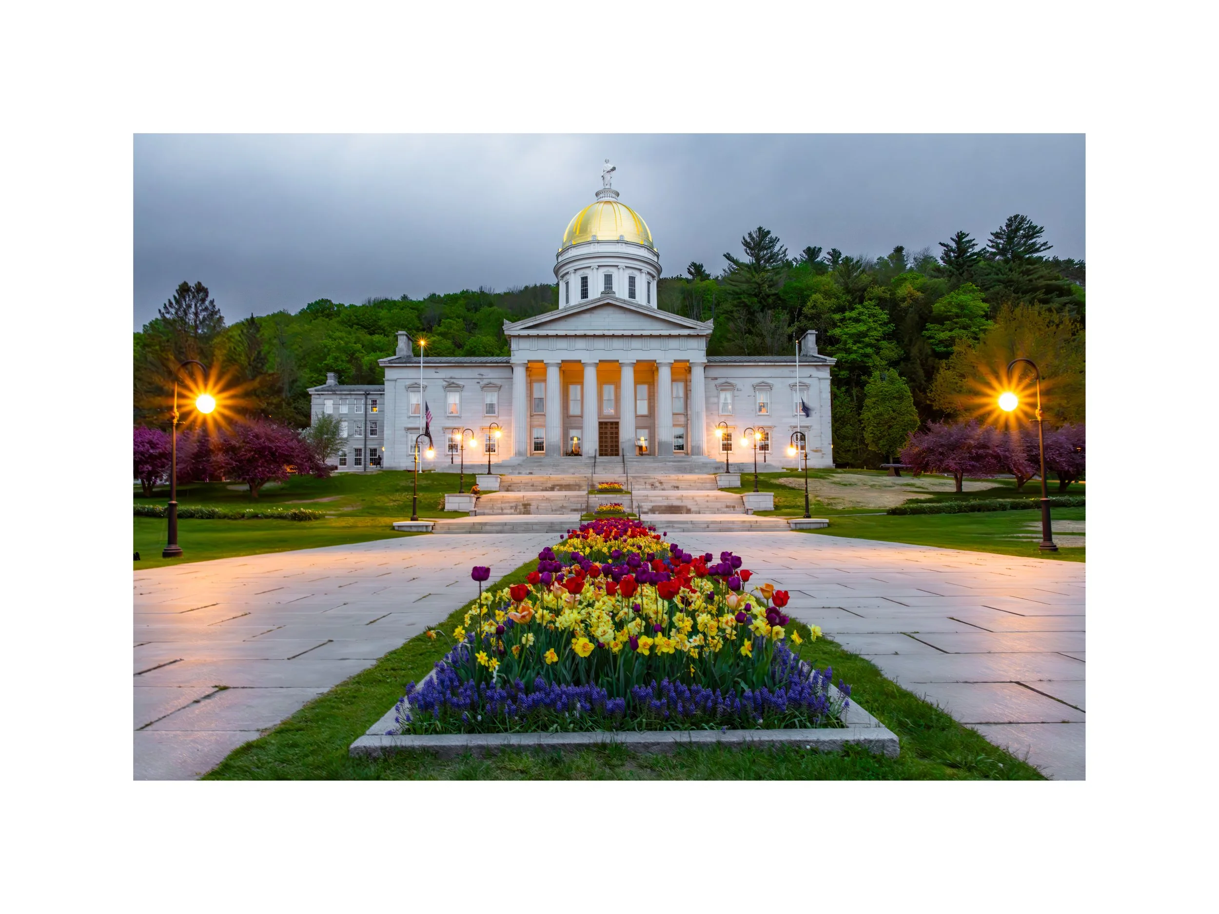 IMGA9706 18x24 2.625 CAT-L.jpg