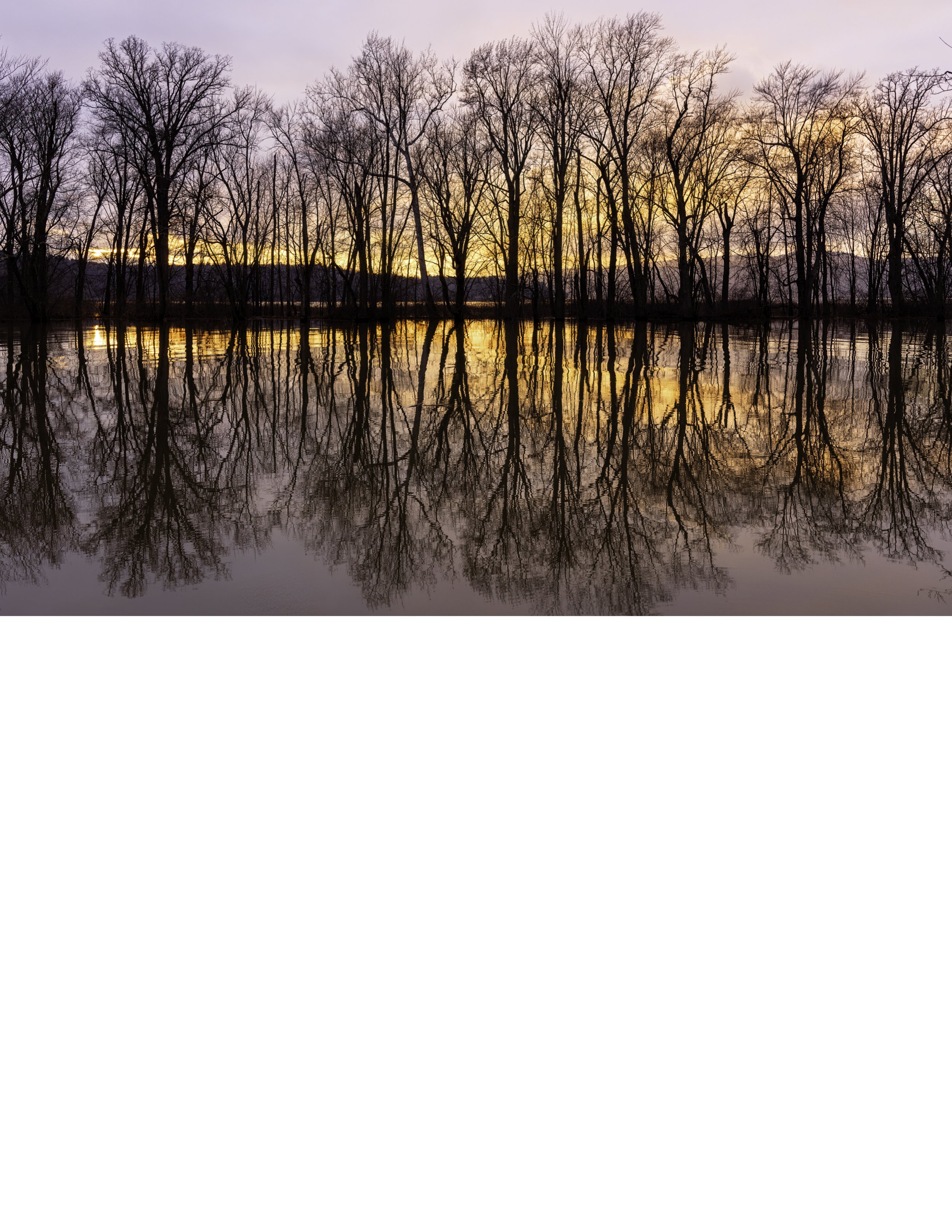 IMGA6265 NOTEPAD BASE 8.5x11 CAT.jpg