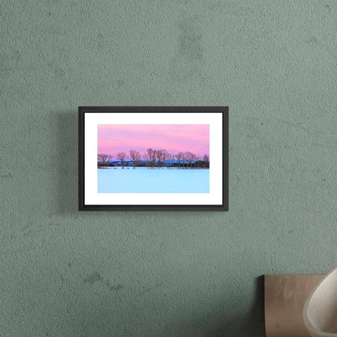 IMGA5300 4X6 0.5 0.56 FRAME.JPG