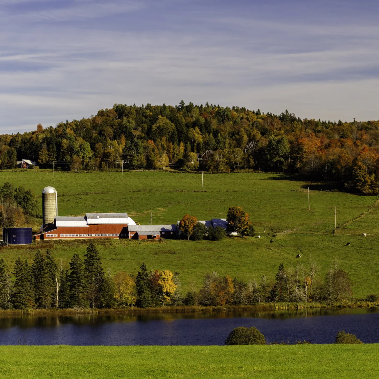 IMGC9641 5x5 MUG CAT.jpg