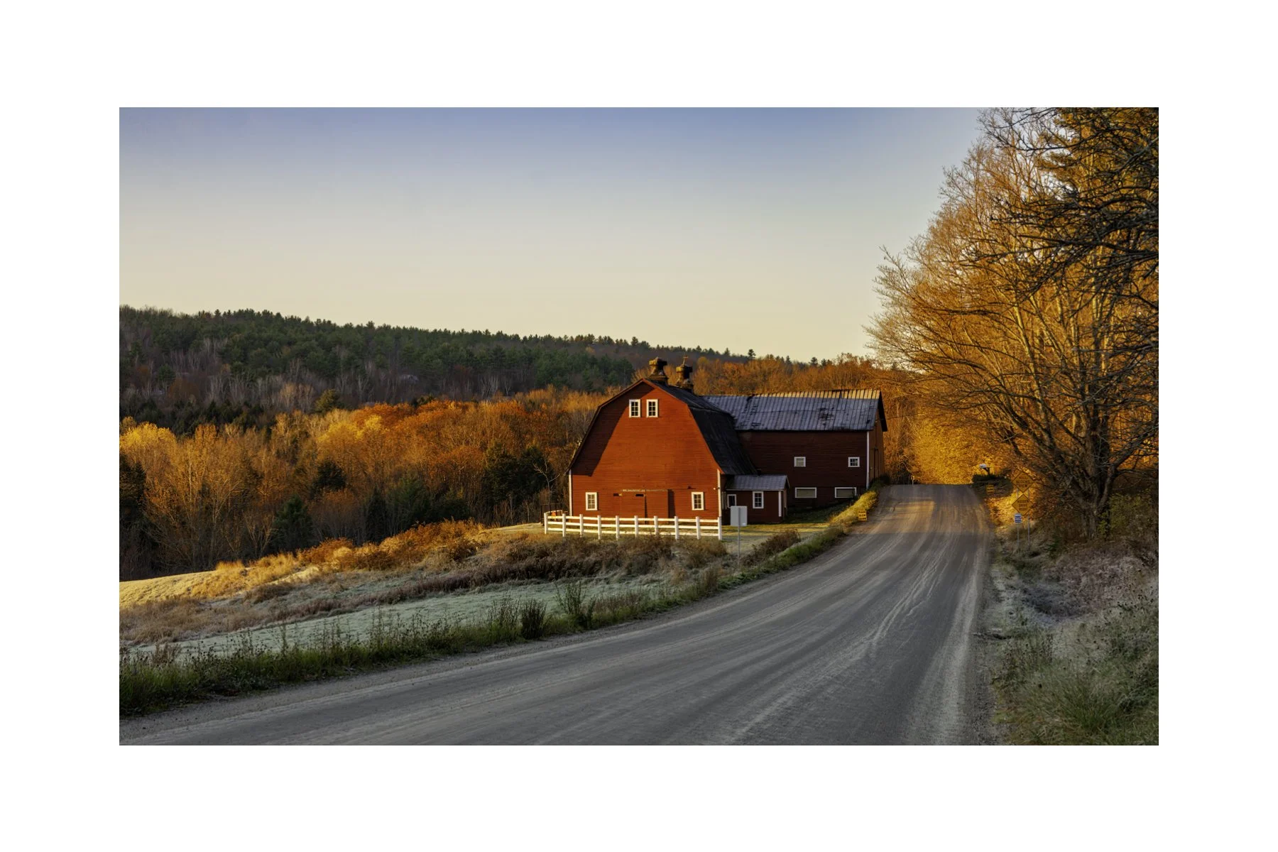 IMG_1314 4X6 0.5 0.56 CAT.jpg