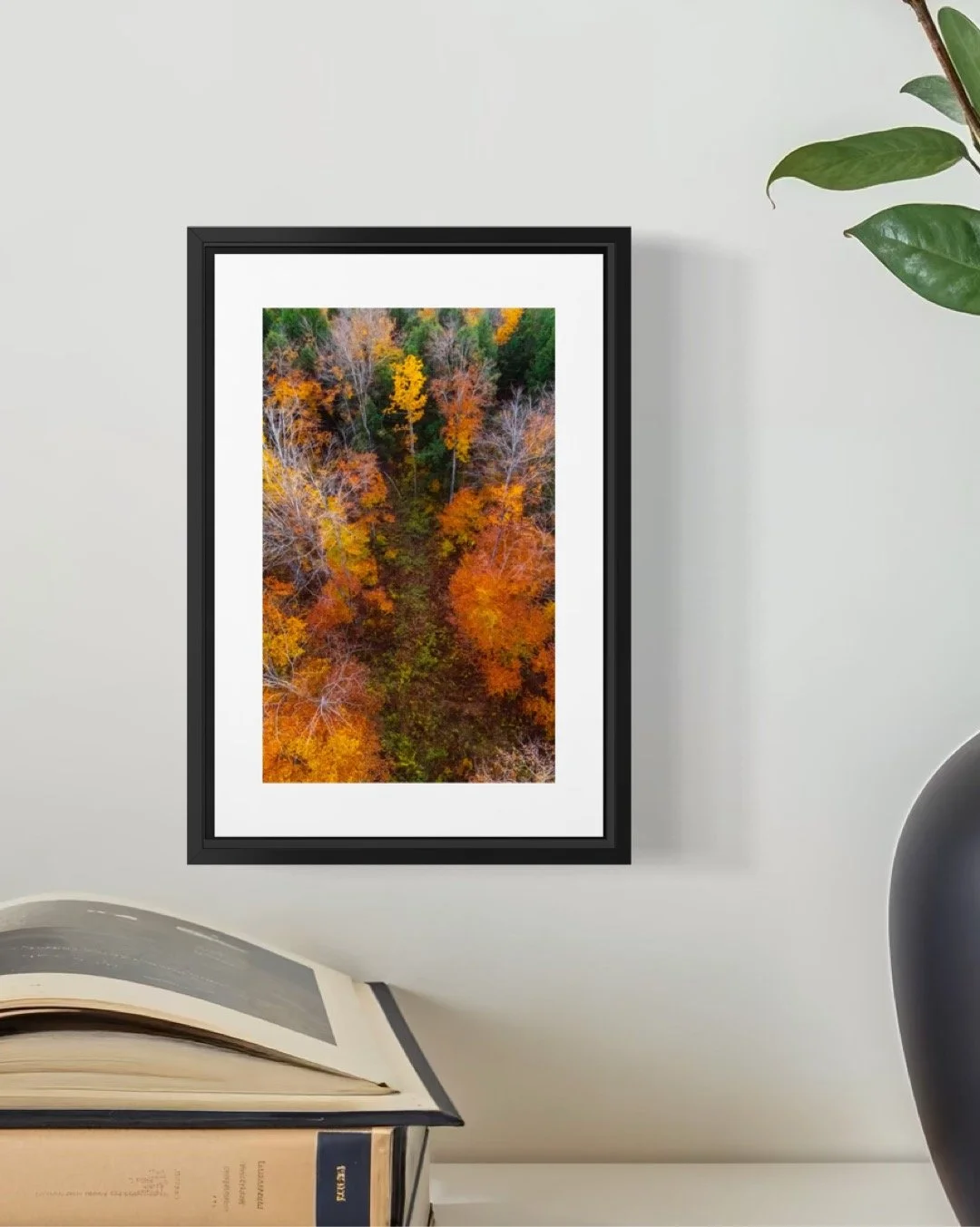 DJI241021_13  V 4X6 0.5 0.56 FRAME.JPG