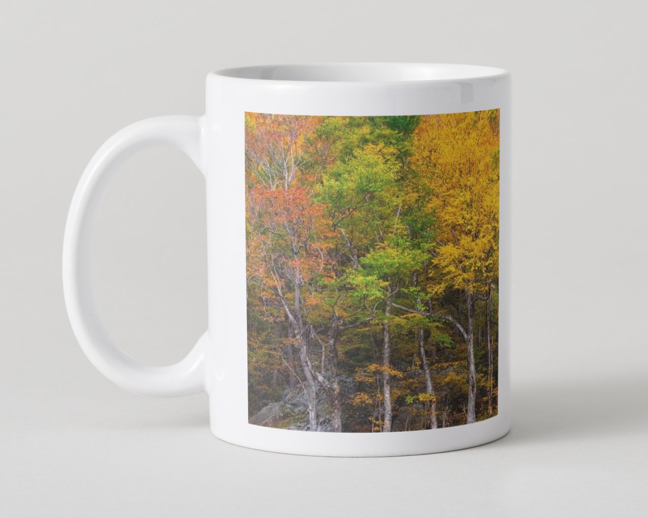 IMGG3042 5x5 MUG IMAGE 1-76.jpg