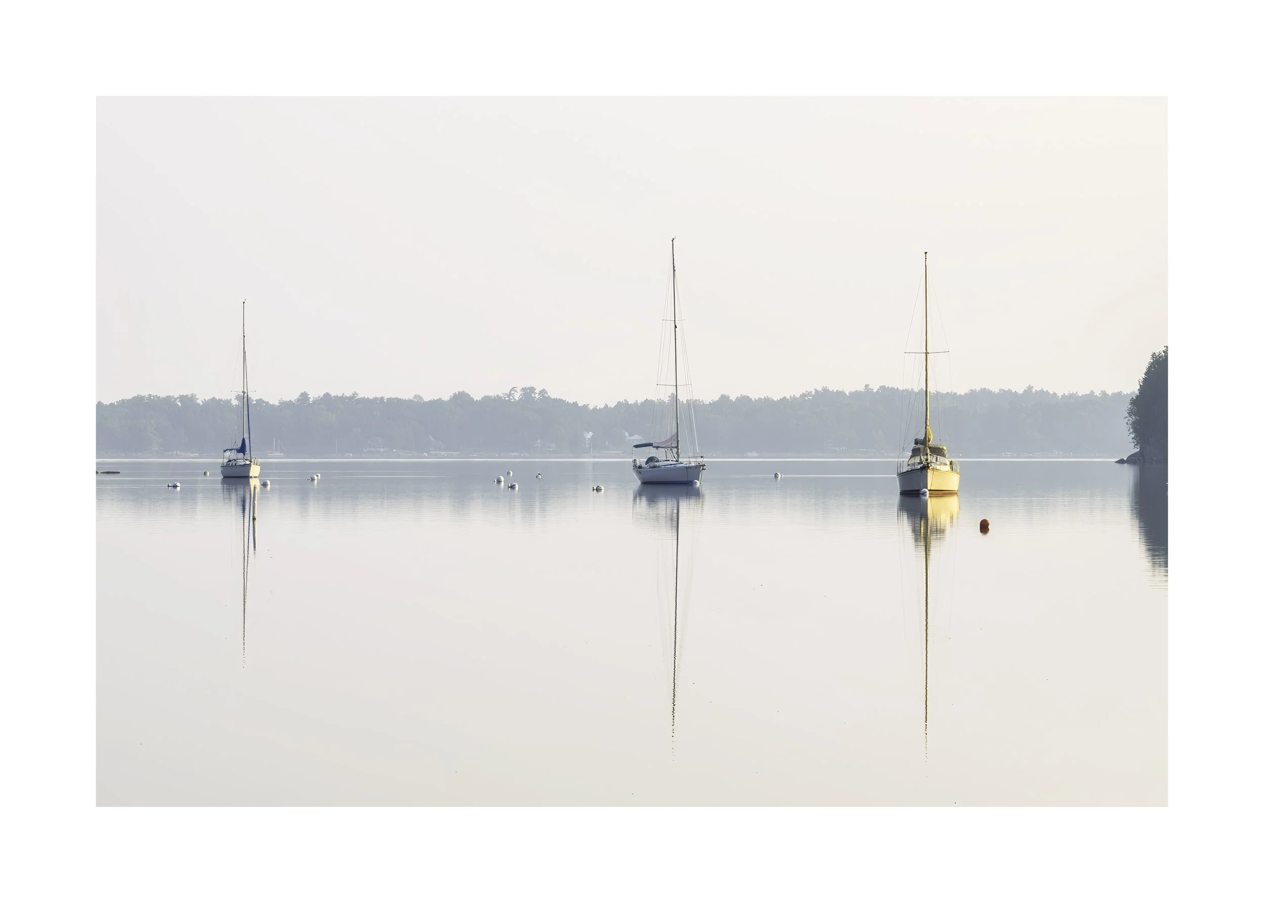 IMGA3508 E4 20x28 2.125 CAT.jpg