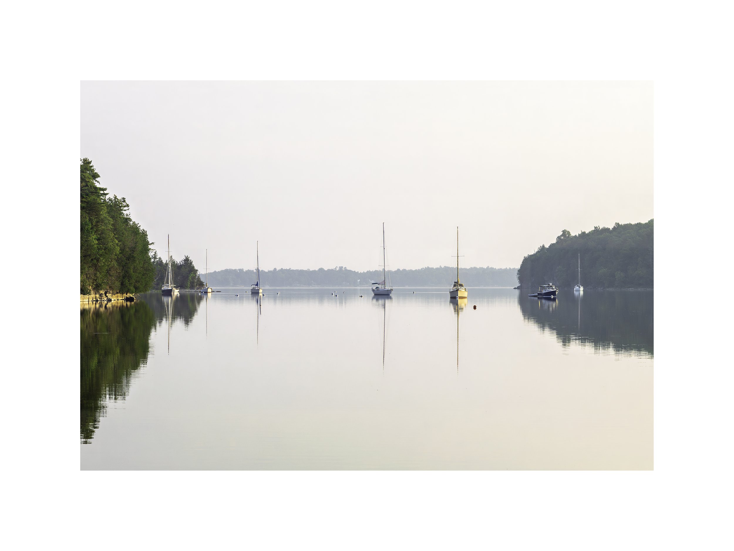 IMGA3508 E3 18x24 2.625 CAT.jpg