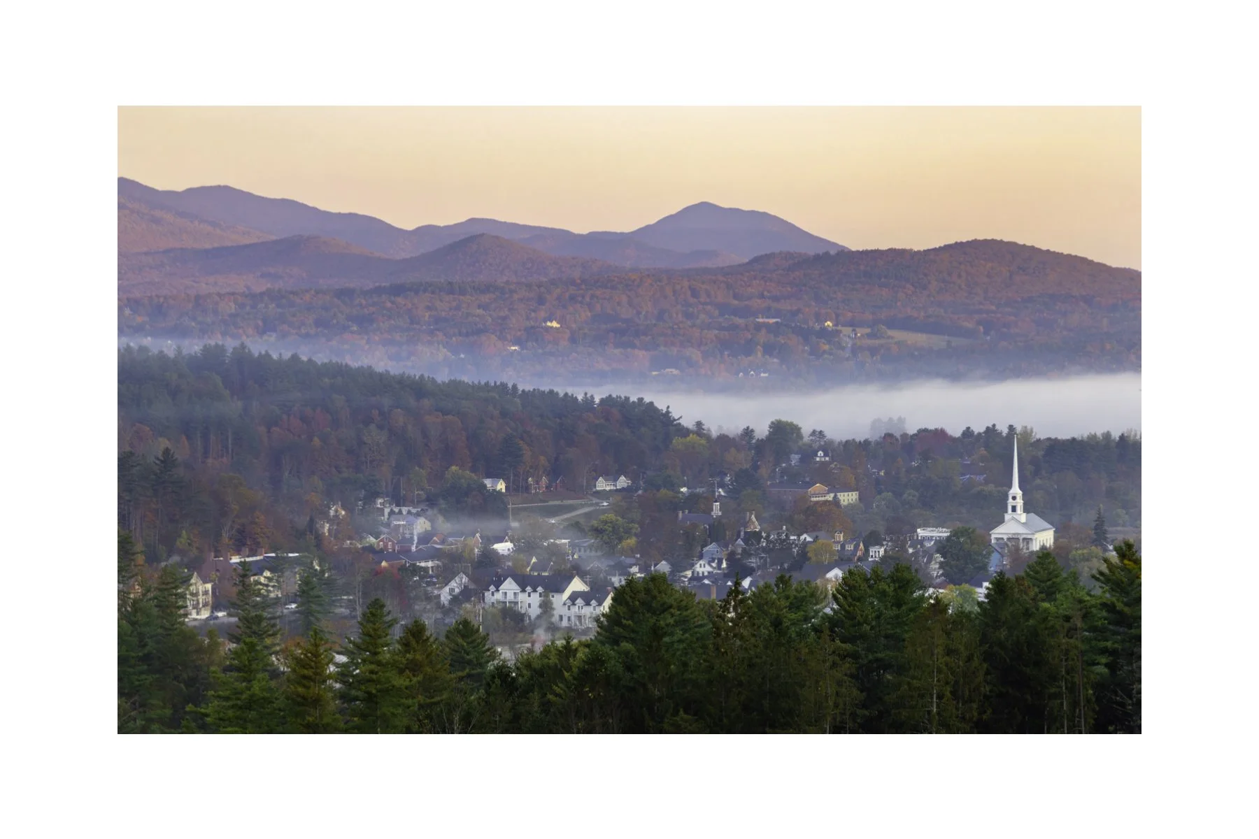 IMGG2943 4X6 0.5 0.56 CAT.jpg