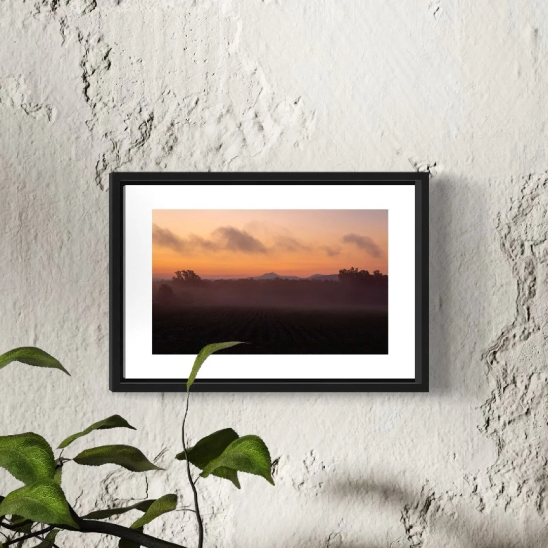 IMGB2815 4X6 0.5 0.56 FRAME.JPG