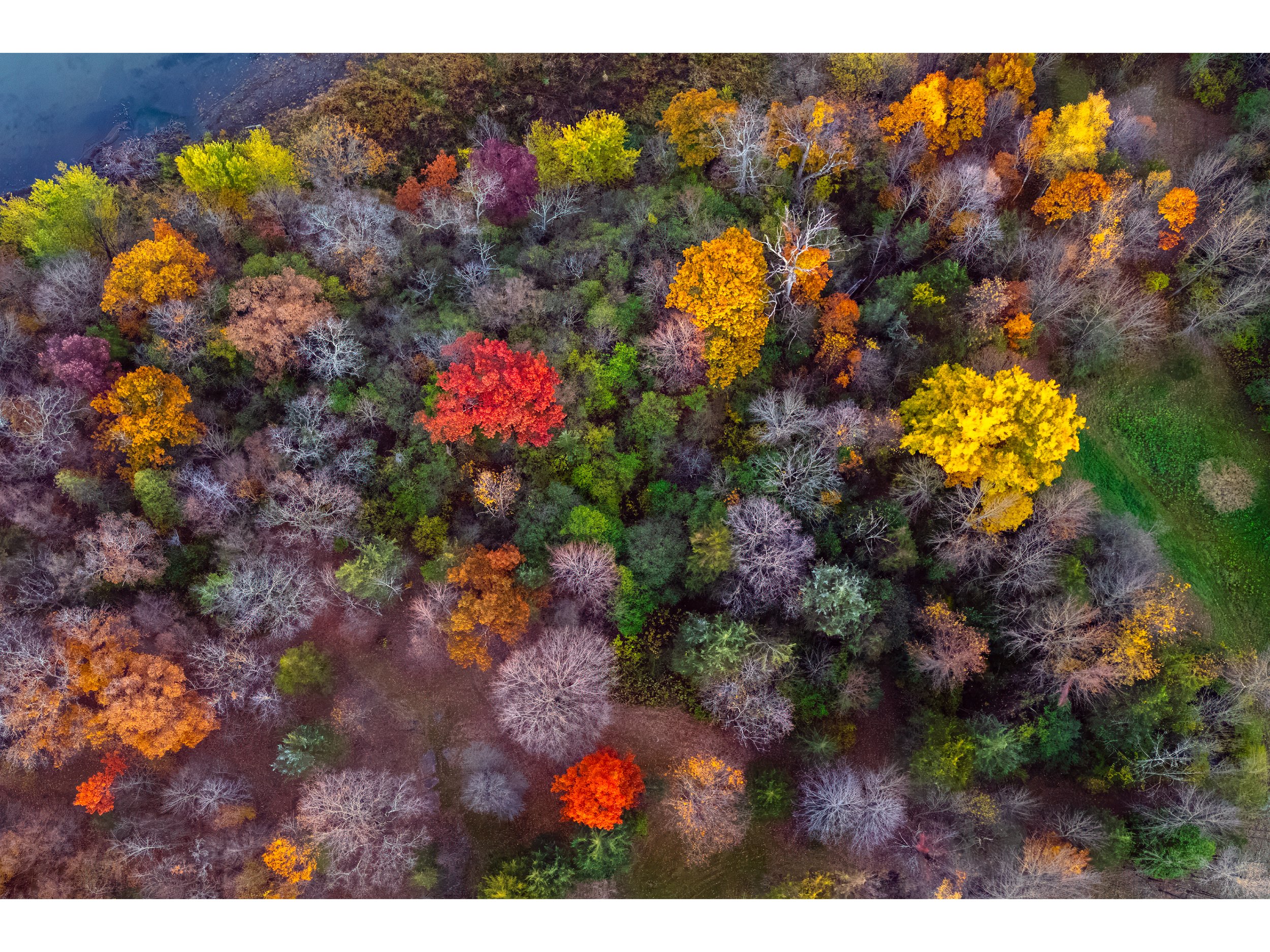DJI 20261019 0054 ICON-4.jpg