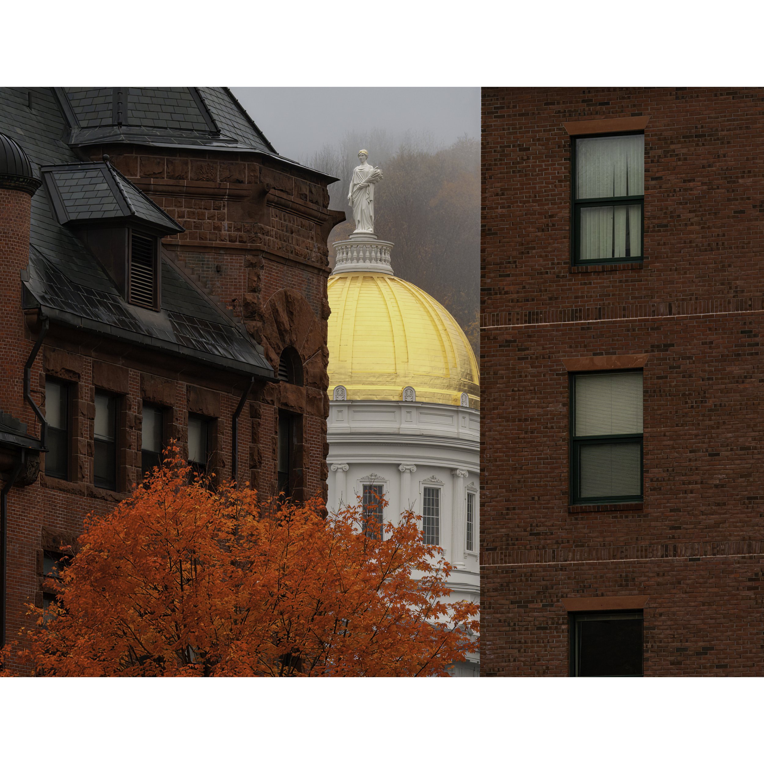 IMG_9637 POSTCARD 8.5x11 ICON.jpg