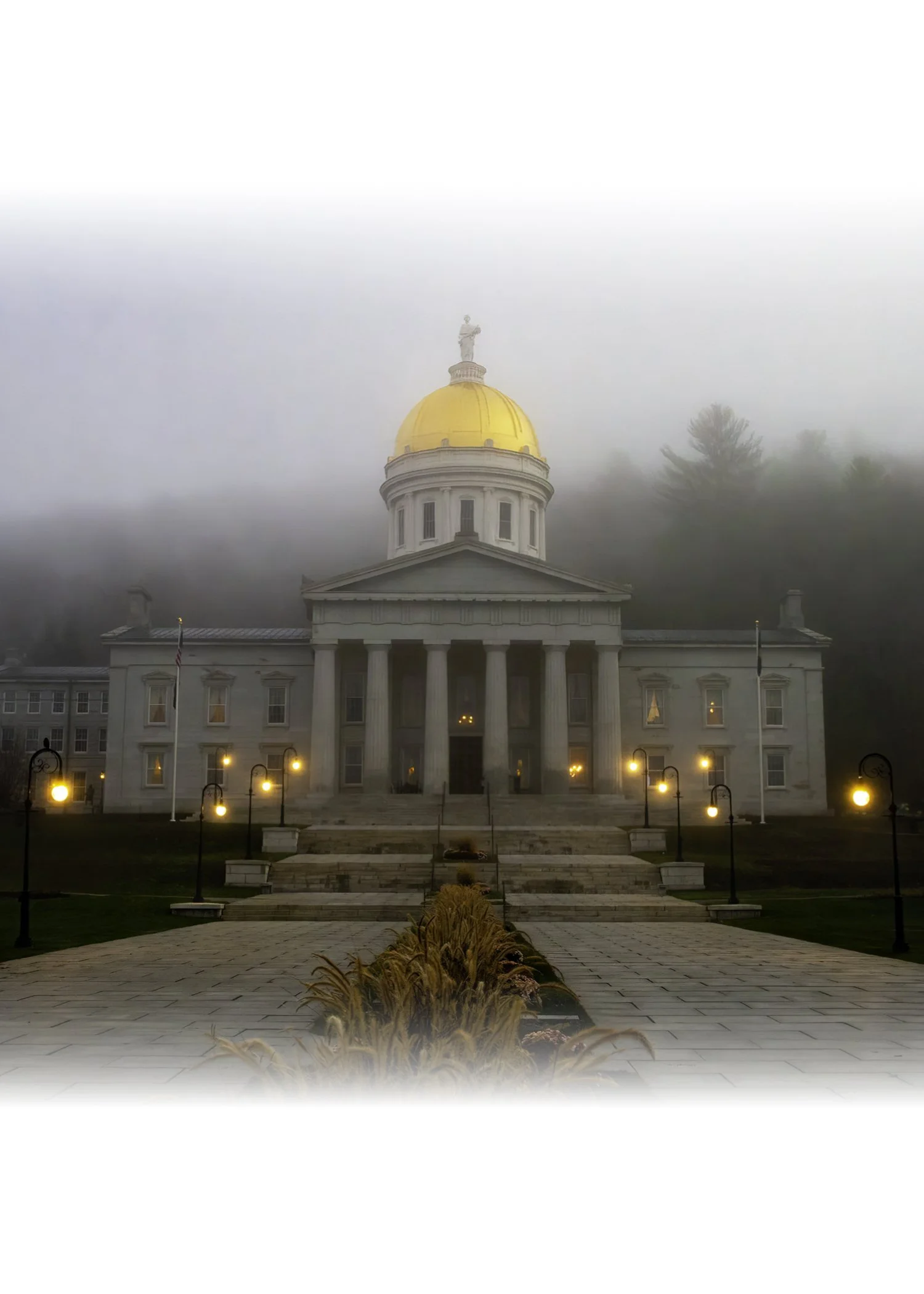 IMG_1923 NOTECARD CENTER FADE 7x5 CAT.jpg