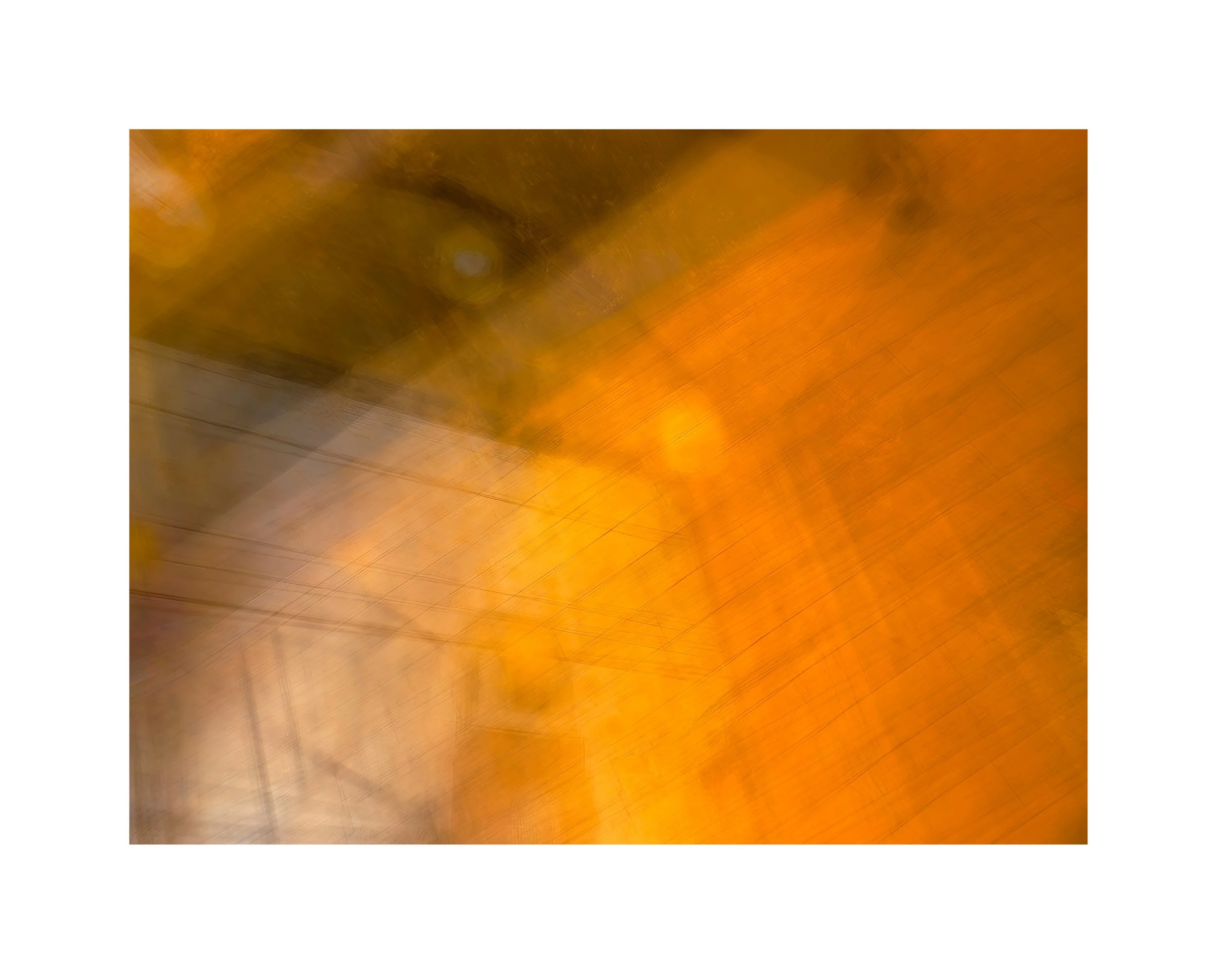 IMG_0091(1) 16x20 2.125 CAT.jpg