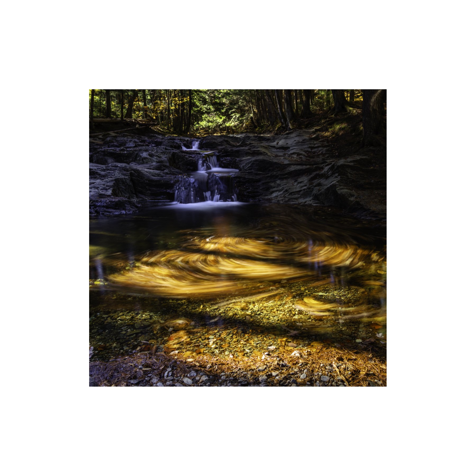 IMGC9901 6x6 1.125 CAT.jpg