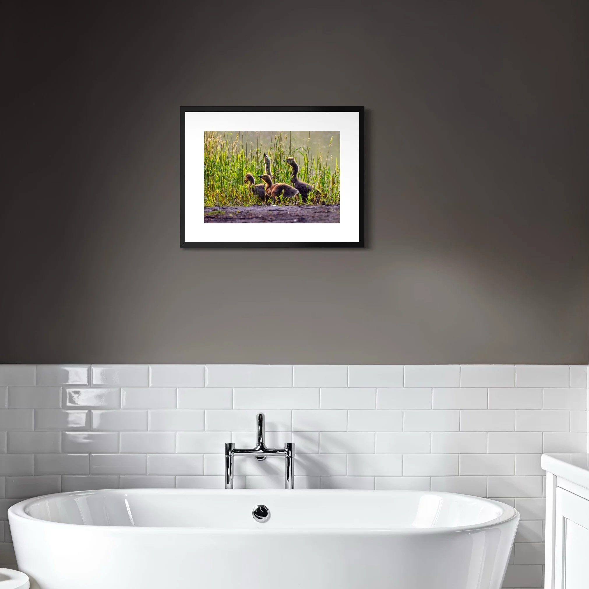 IMGF3731 18x24 2.625 FRAME.JPG