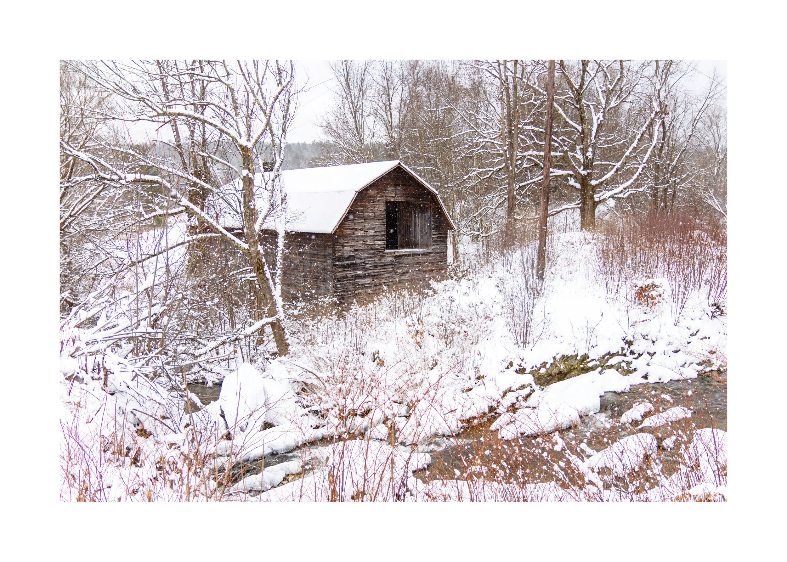 IMGG6740 20X28 2.125 CAT-L.jpg