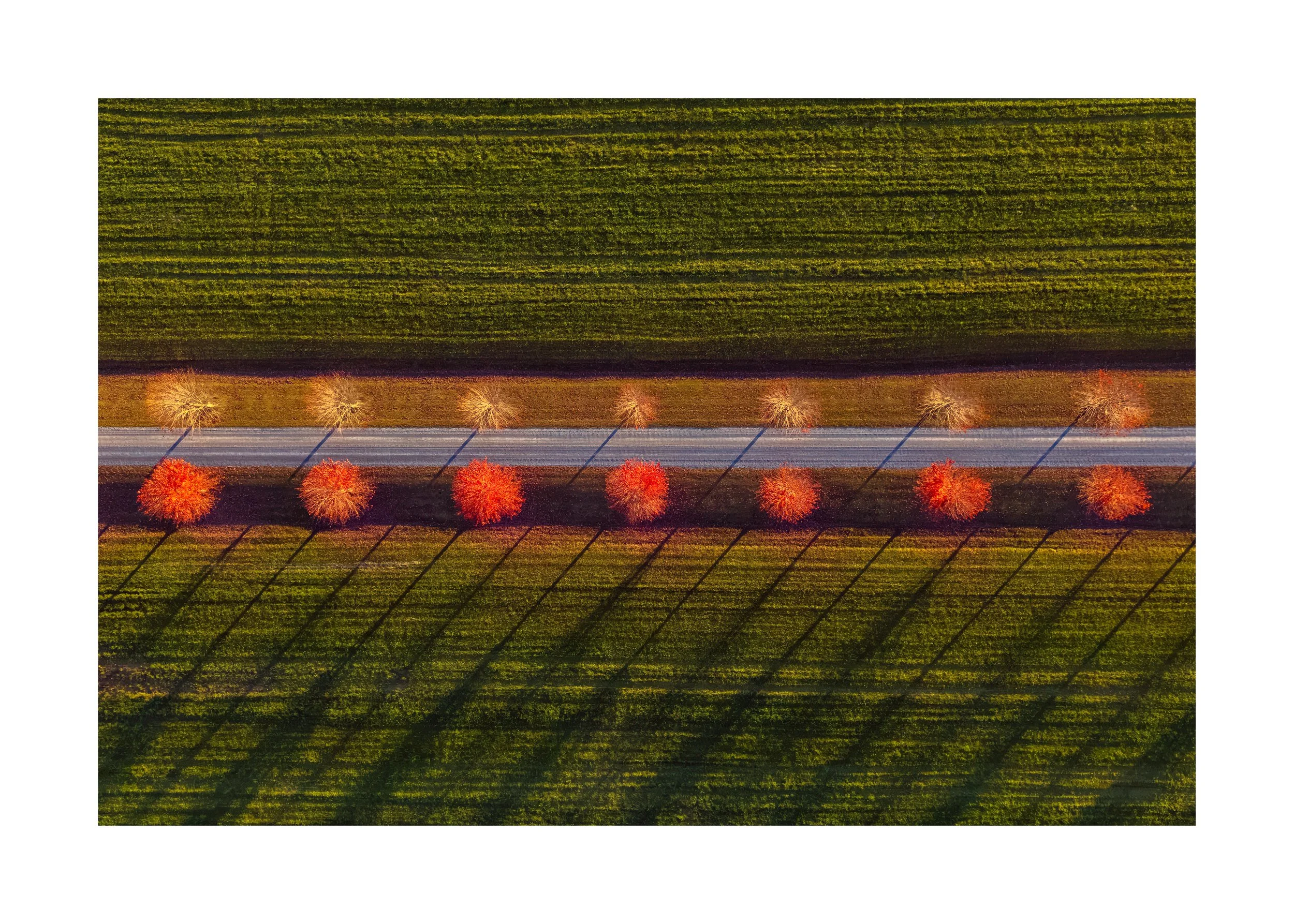 DJI 20261019 0015 20X28 2.125 CAT-33.jpg