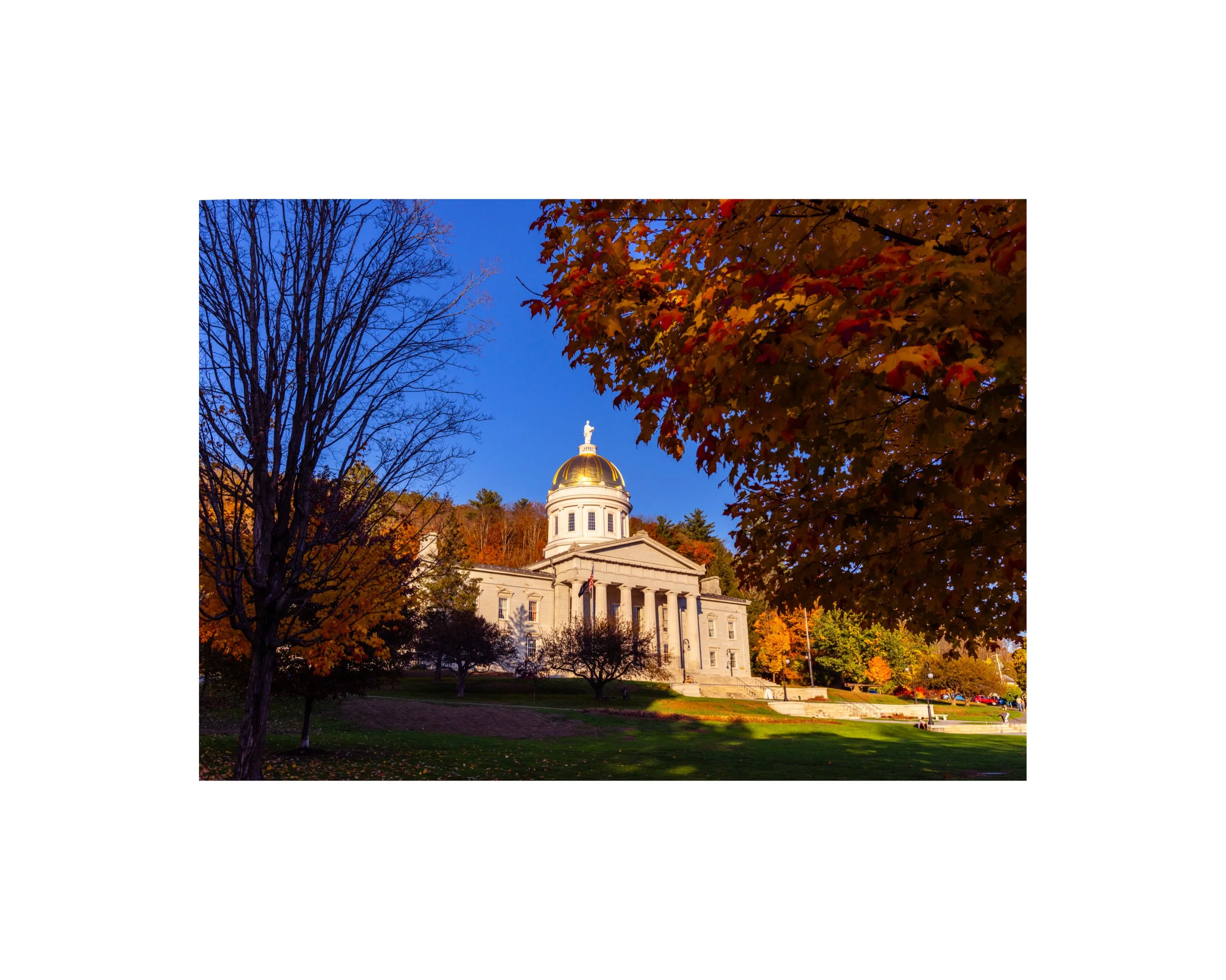 IMGD0264 8X10 1.625 CAT.jpg