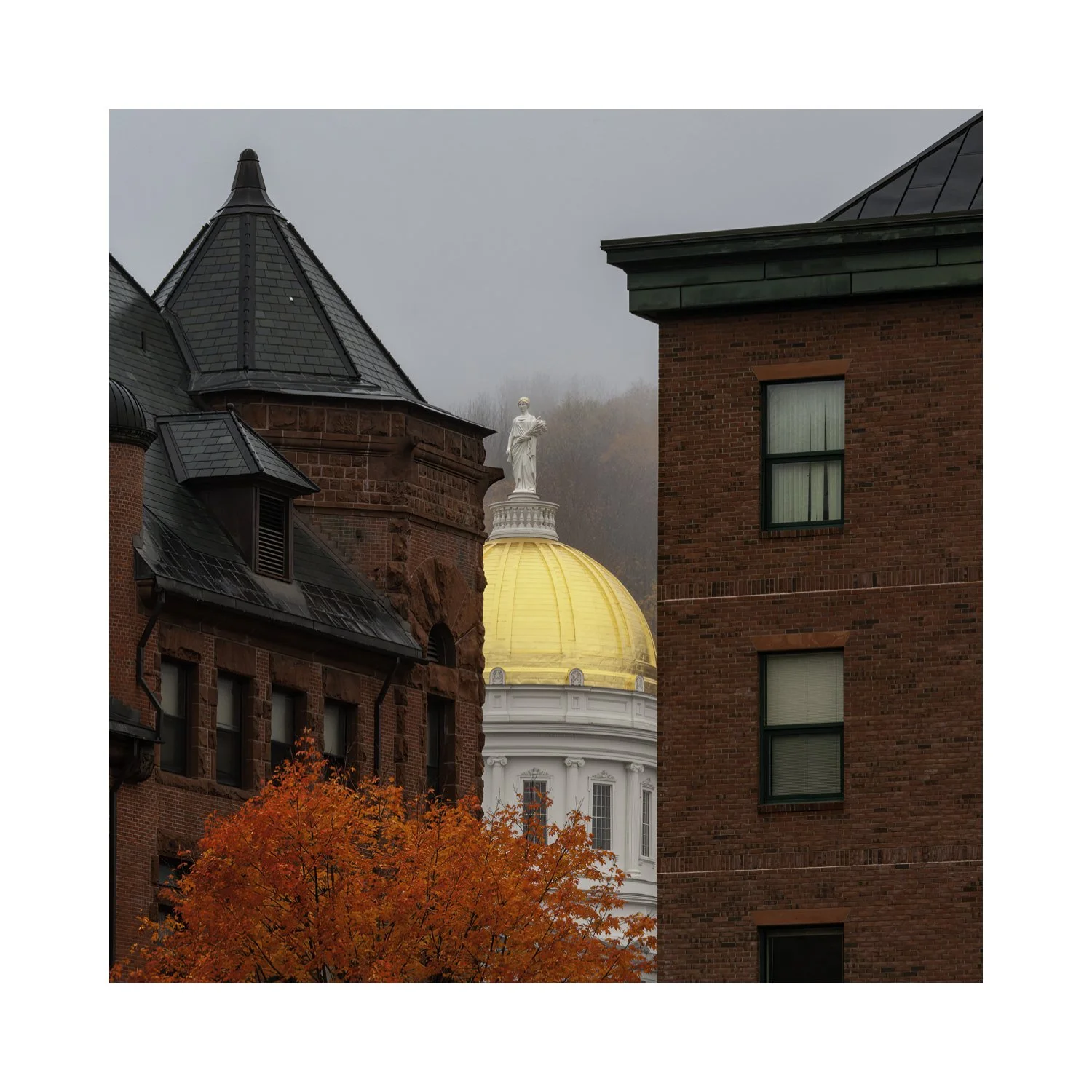 IMG_9637 5x5 0.5 CAT.jpg