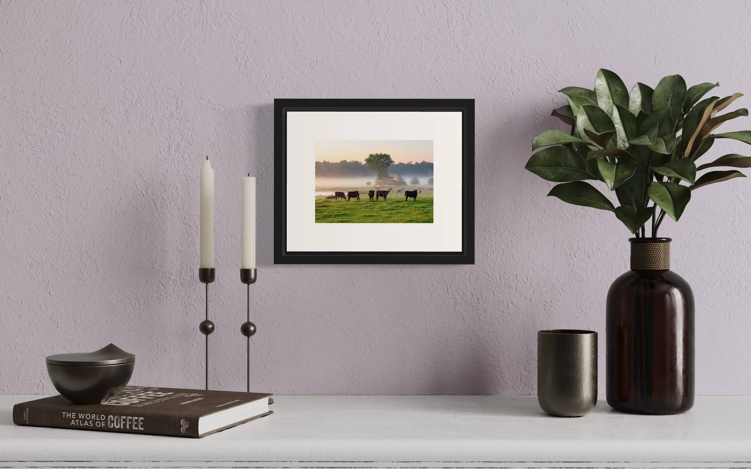 IMGA9825 8x10 1.625 FRAME.JPG