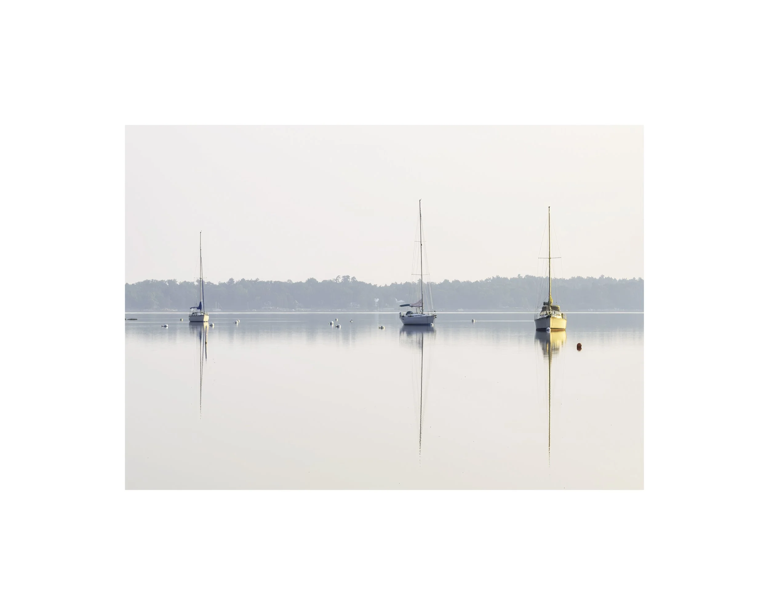 IMGA3508 E4 8x10 1.625 CAT.jpg