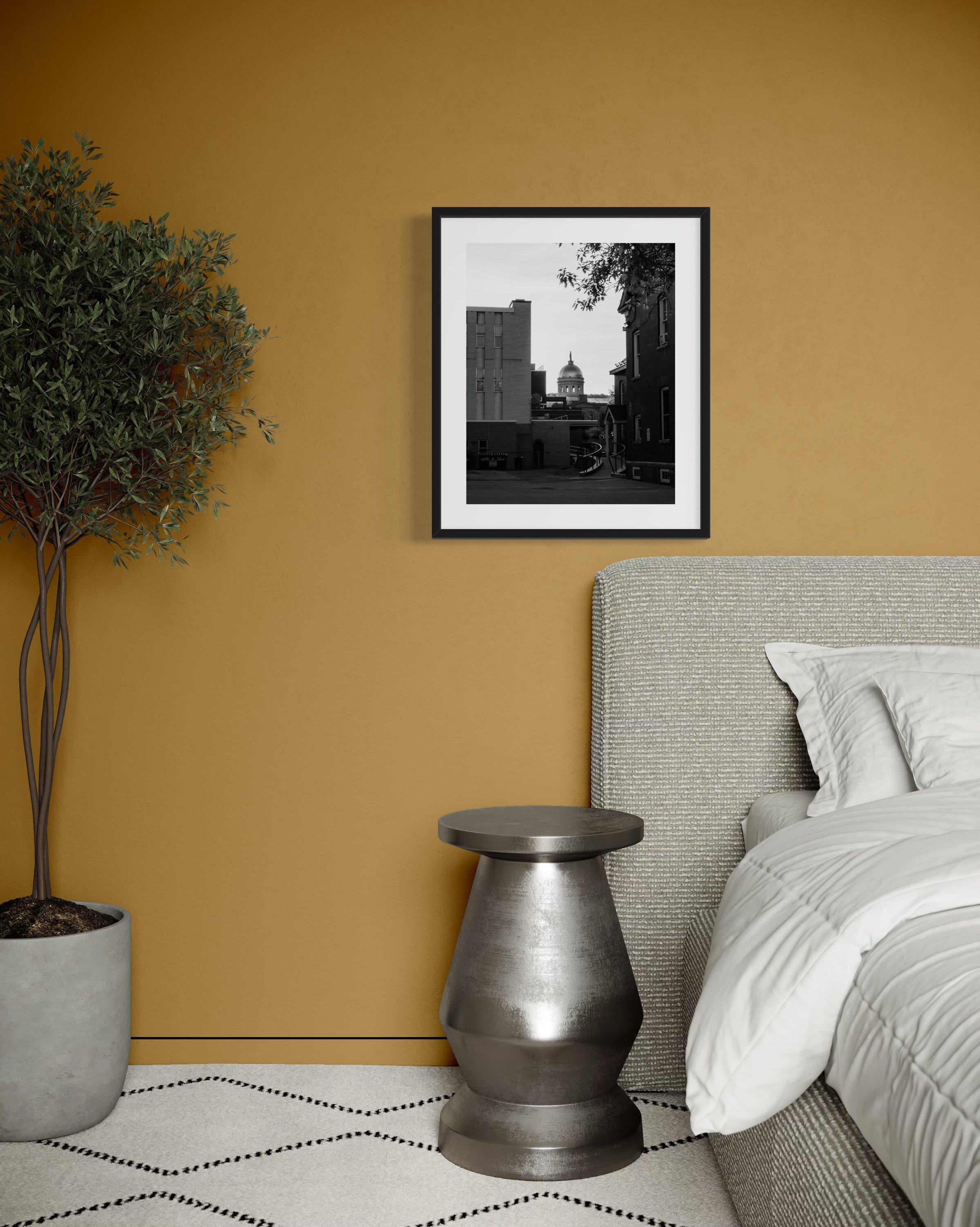 IMGA2392 24x20 2.125 FRAME.JPG