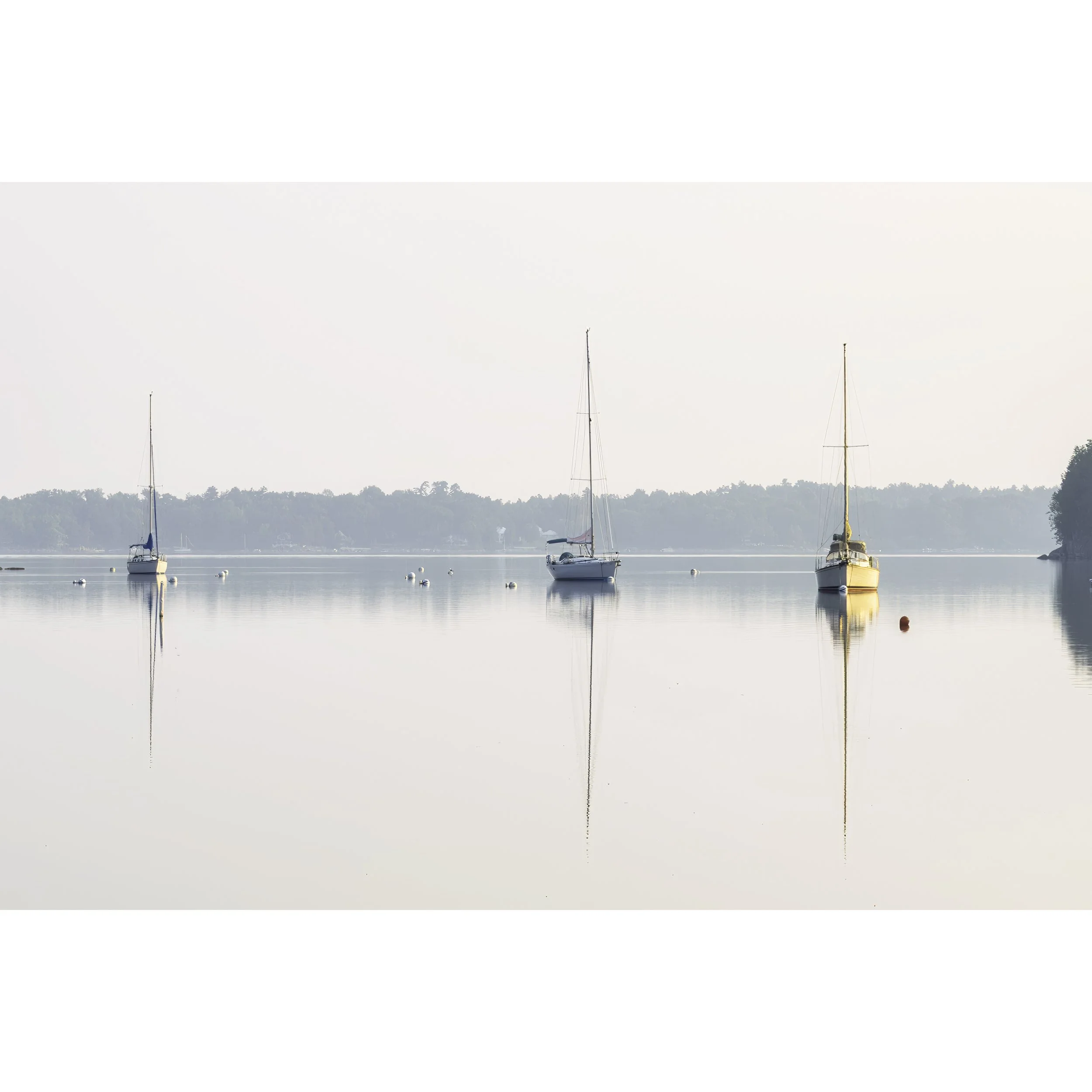 IMGA3508 E4 ICON.jpg