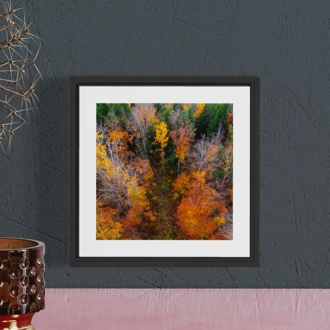 DJI241021_13 5x5 0.5 FRAME.JPG