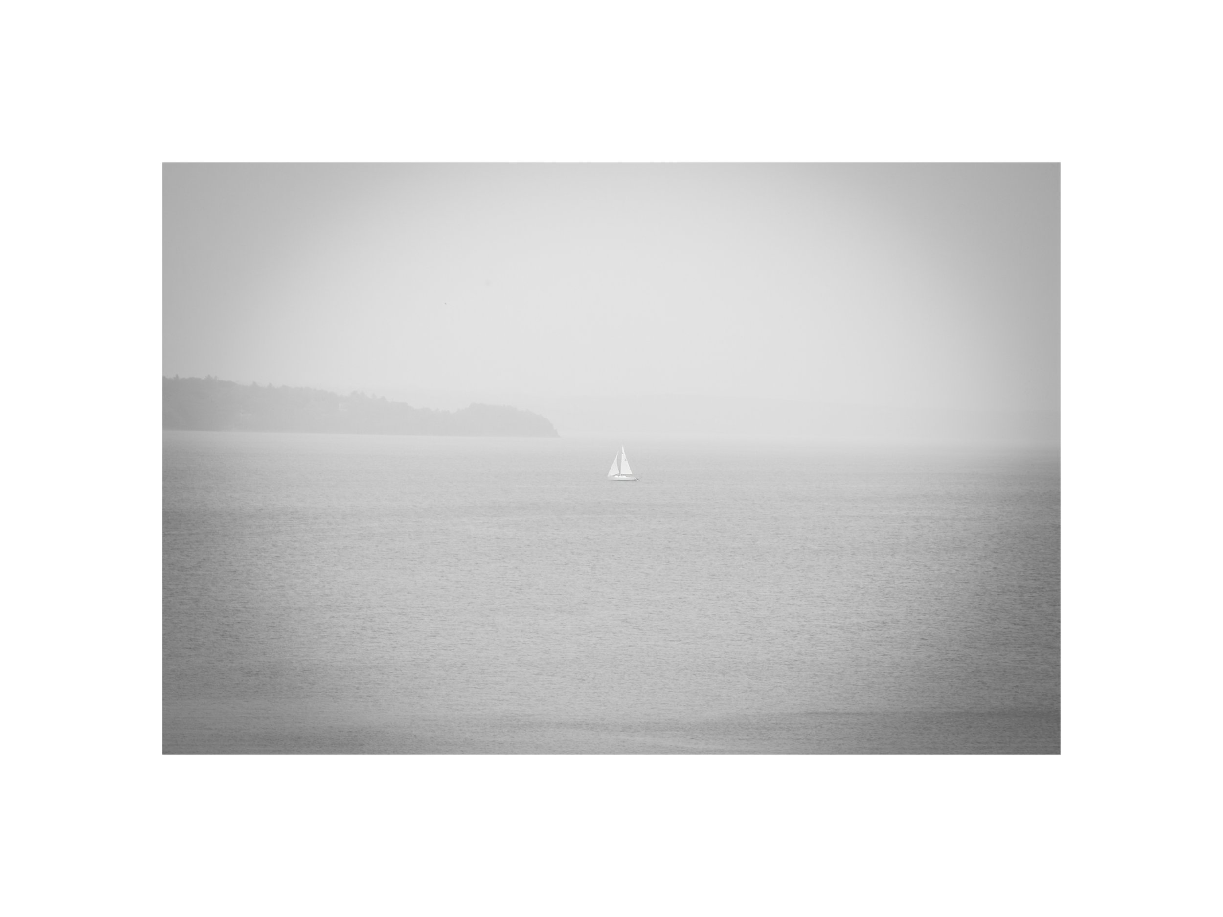 IMGA2623 12x16 2.125 CAT.jpg