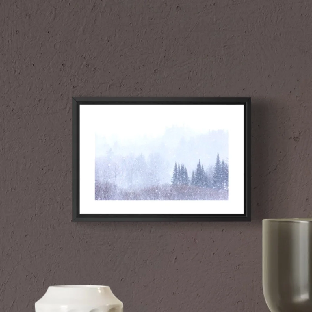 IMGA0204 E2 4X6 0.5 0.56 FRAME.JPG