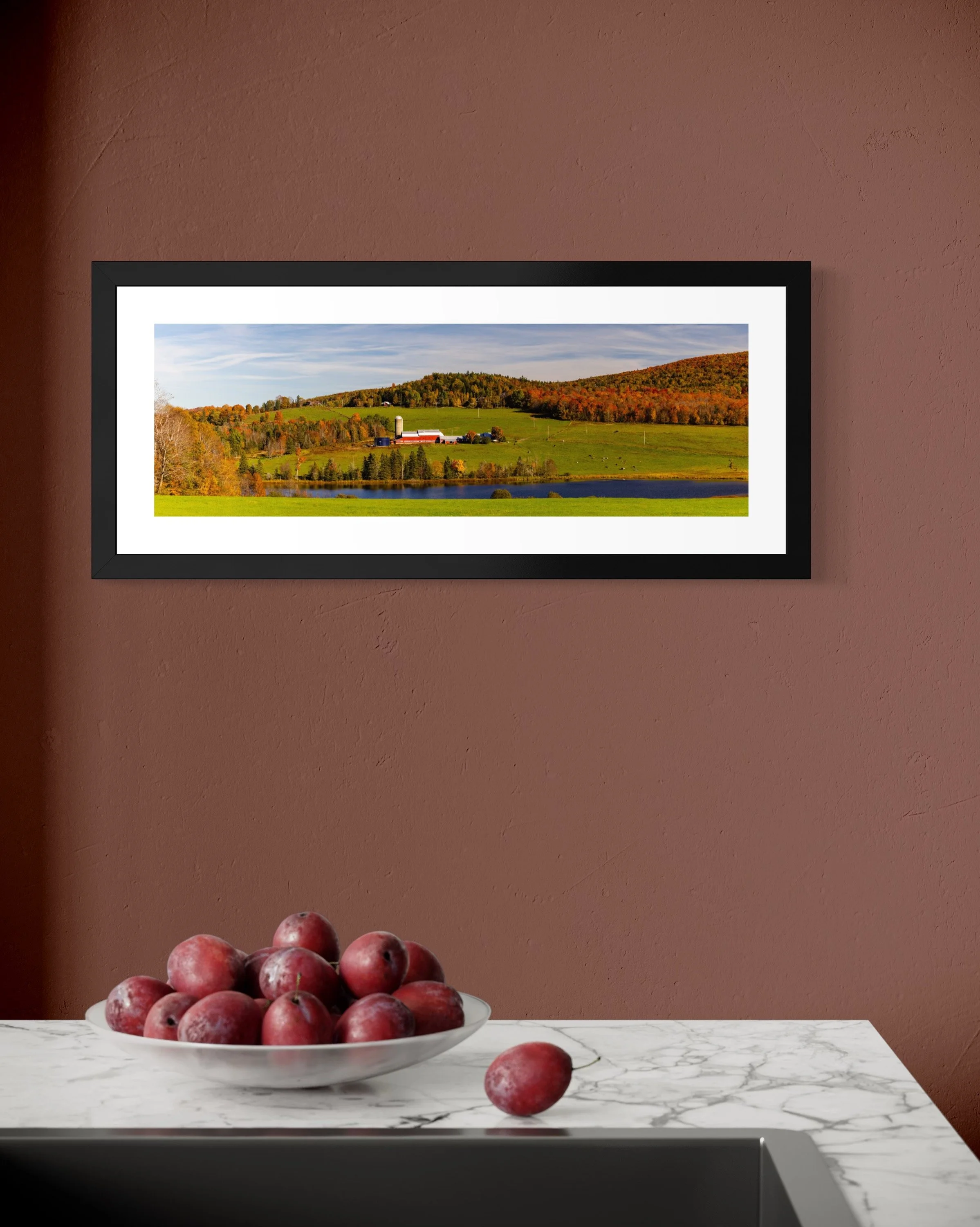 IMGC9641 8x20 1.125 FRAME.JPG