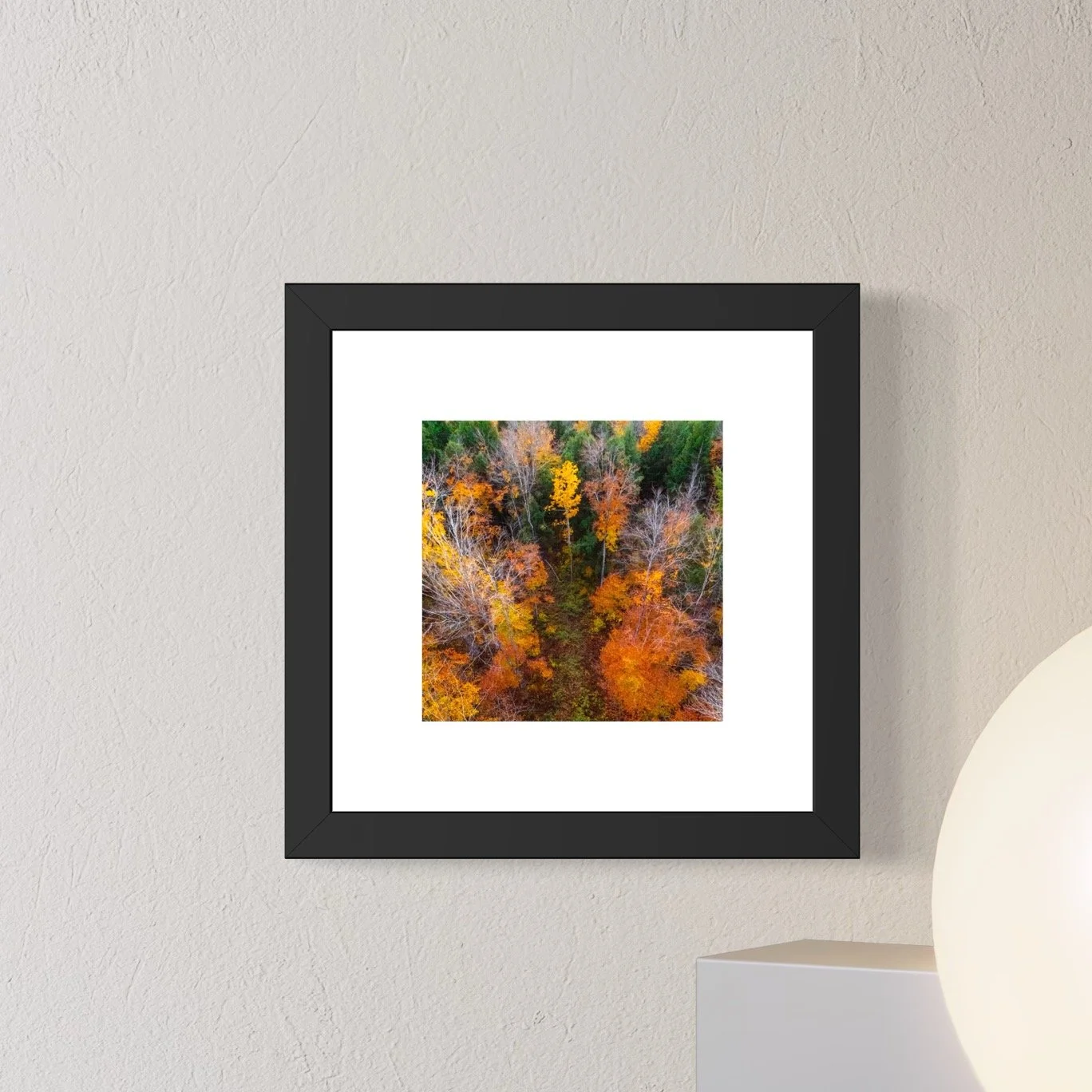 DJI241021_13 6x6 1.125 FRAME.JPG