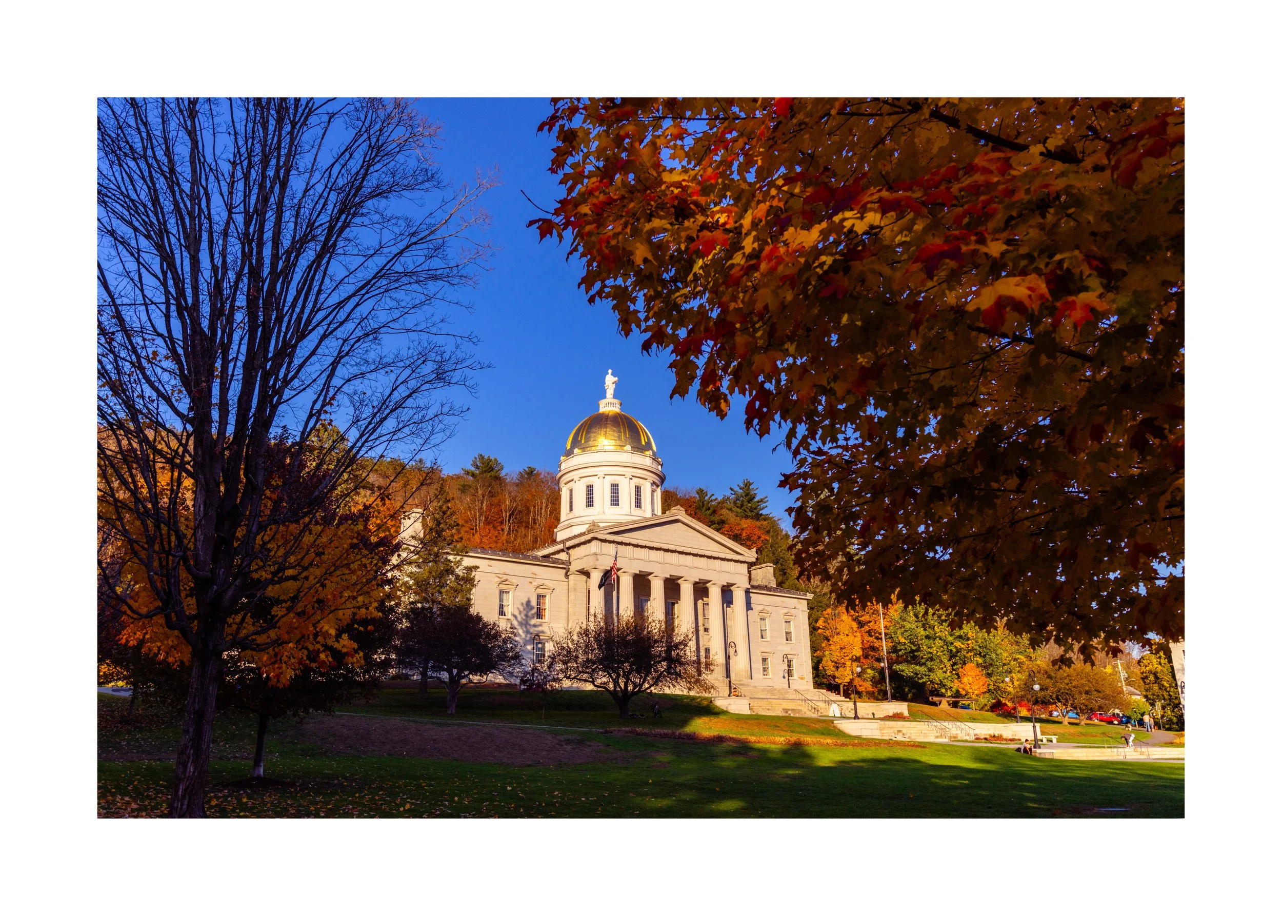 IMGD0264 28x20 2.125 CAT-L.jpg