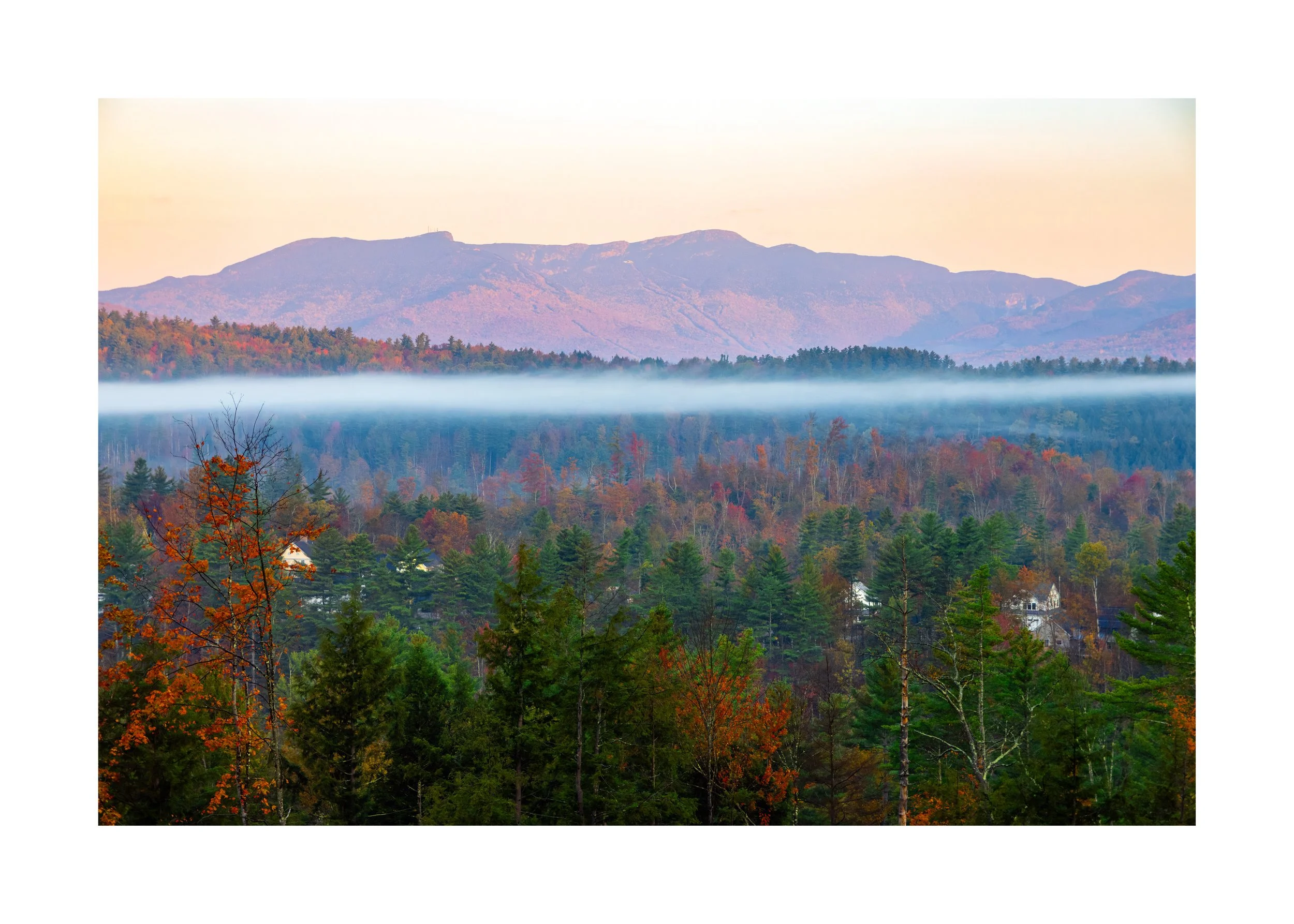 IMGG2954 20X28 2.125 CAT-L.jpg