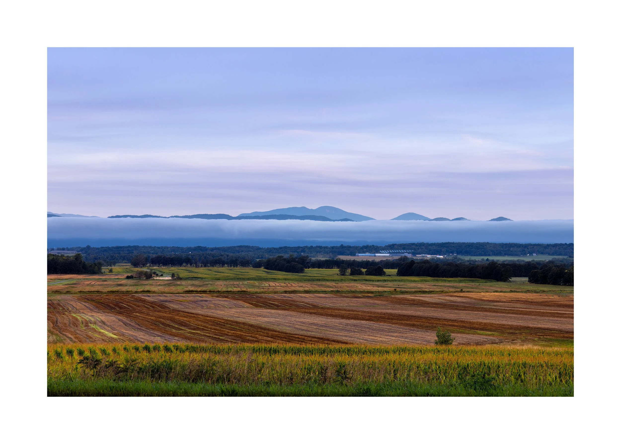 IMGA8548 20X28 2.125 CAT-L.jpg