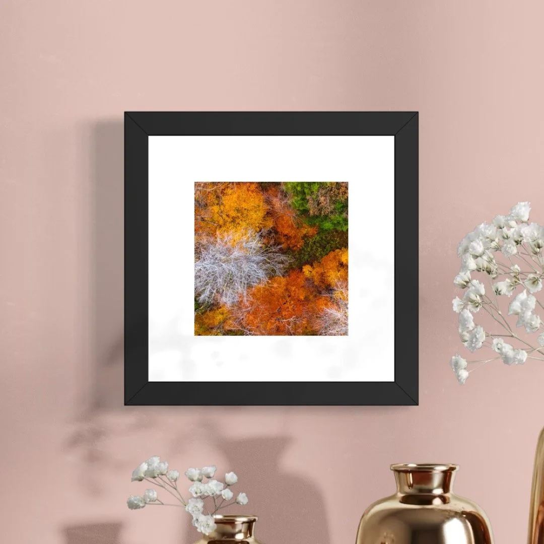 DJI241021_10 A 6x6 1.125 FRAME.JPG