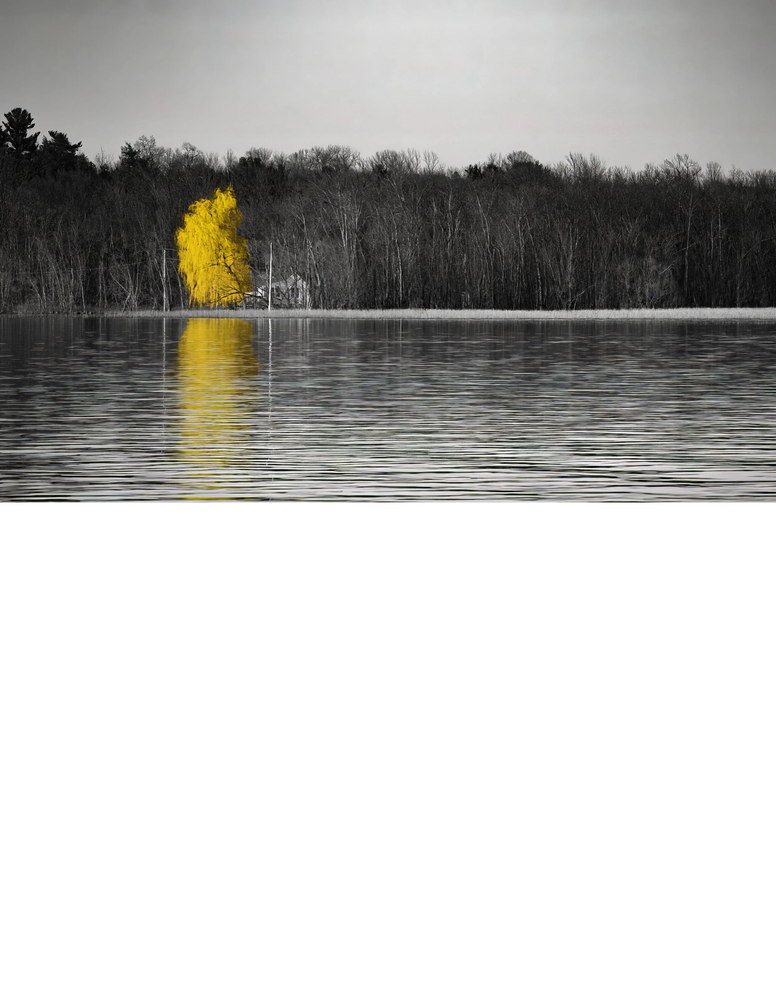 IMG_4426 NOTEPAD BASE 8.5x11 CAT.jpg