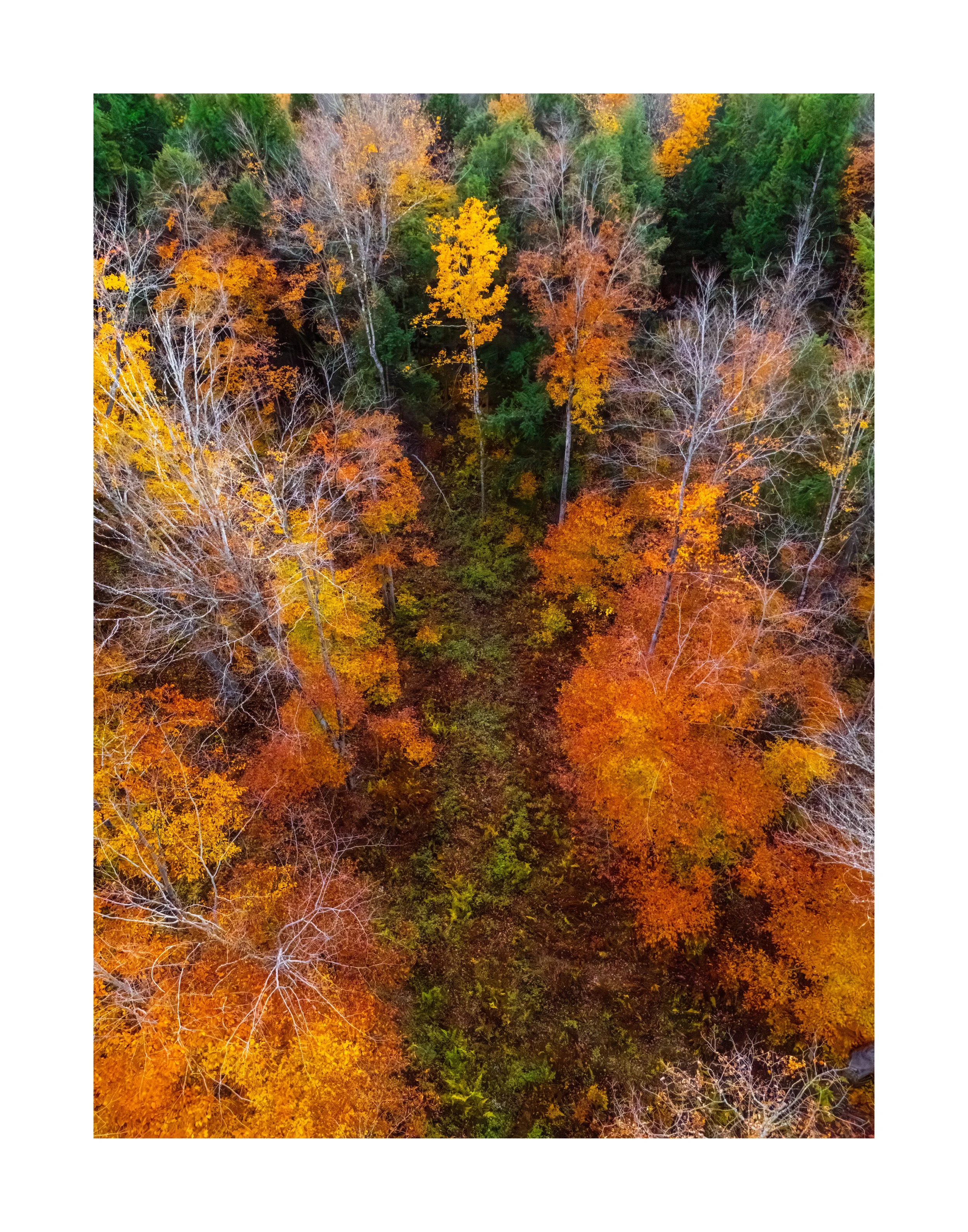 DJI241021_13 28x22 2.125 CAT-L.jpg