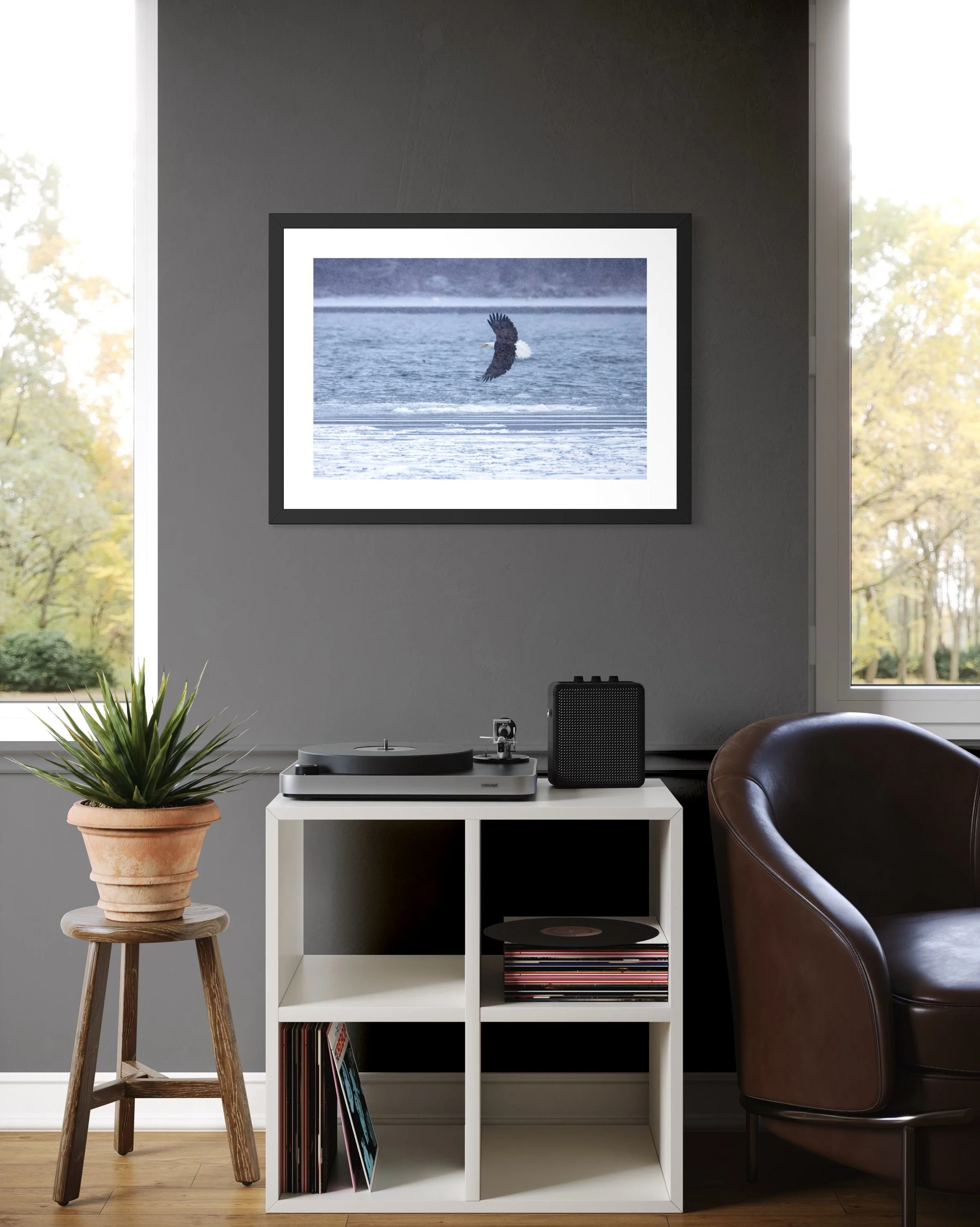 IMGE8461 28x20 2.125 FRAME.JPG