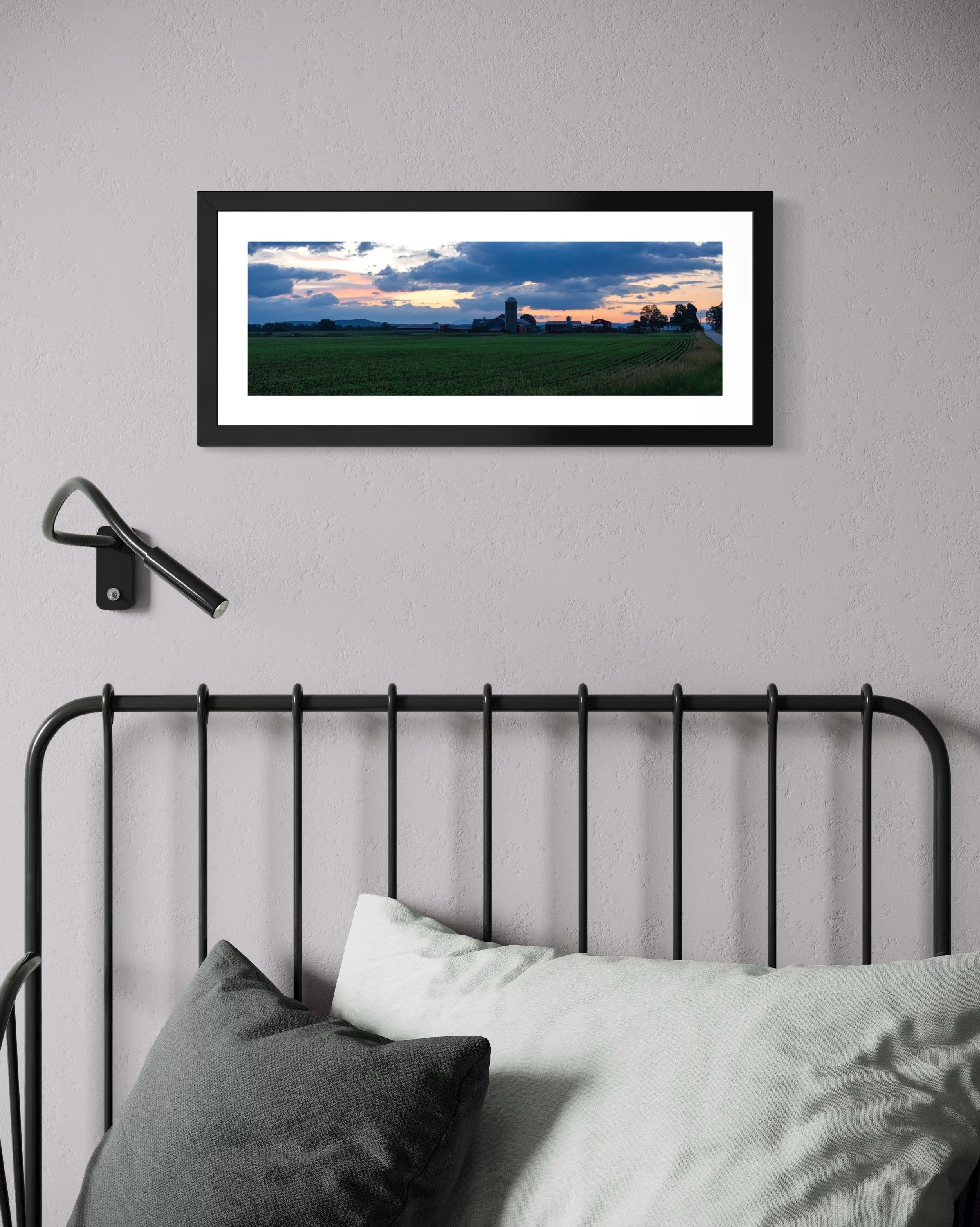 IMGB8460 8x20 1.125 FRAME.JPG