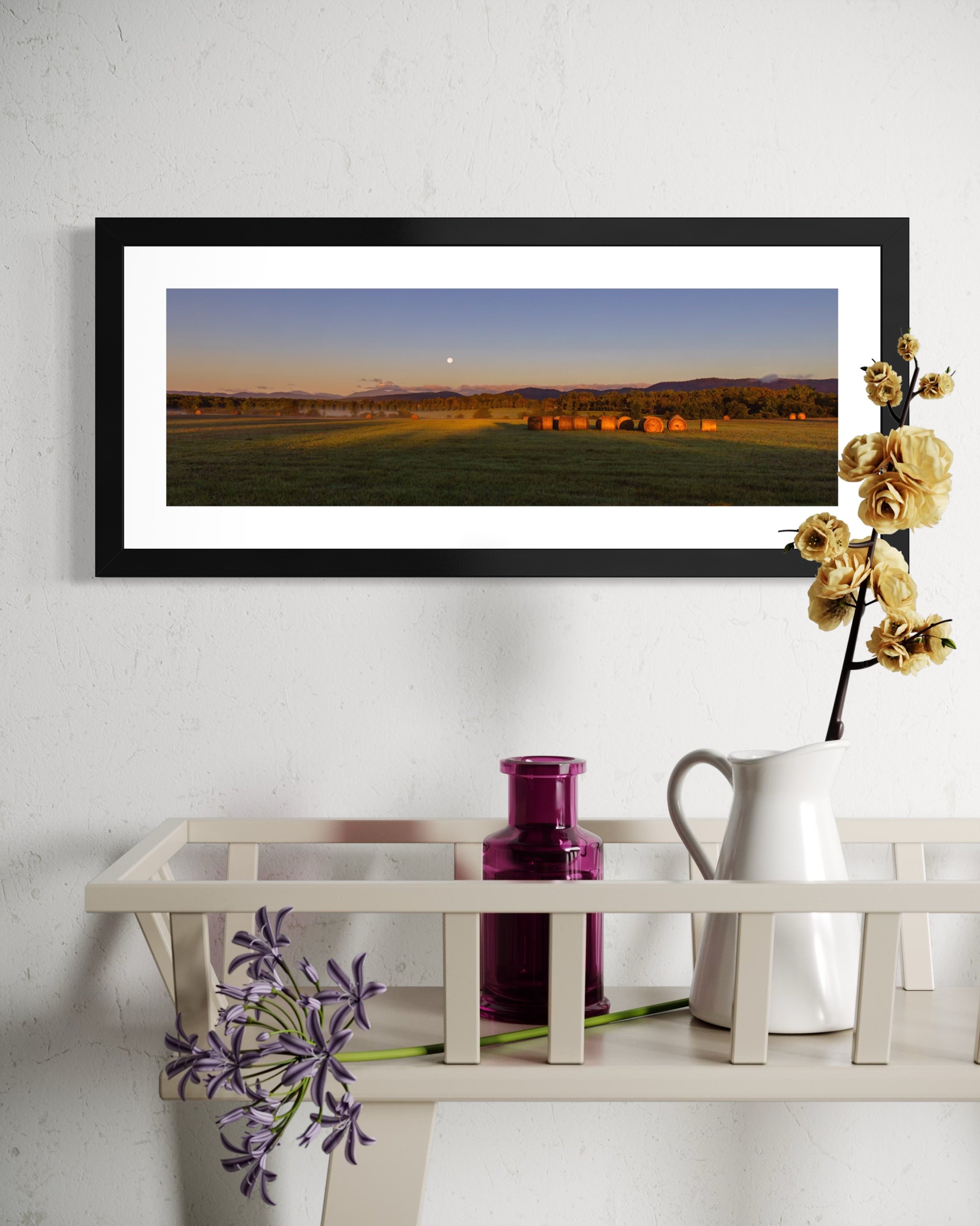 IMGF9017 8x20 1.125 FRAME.JPG