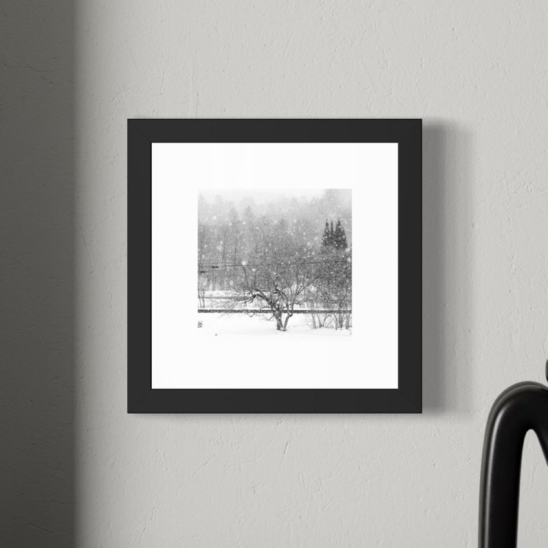 IMGF1791 6x6 1.125 FRAME.JPG