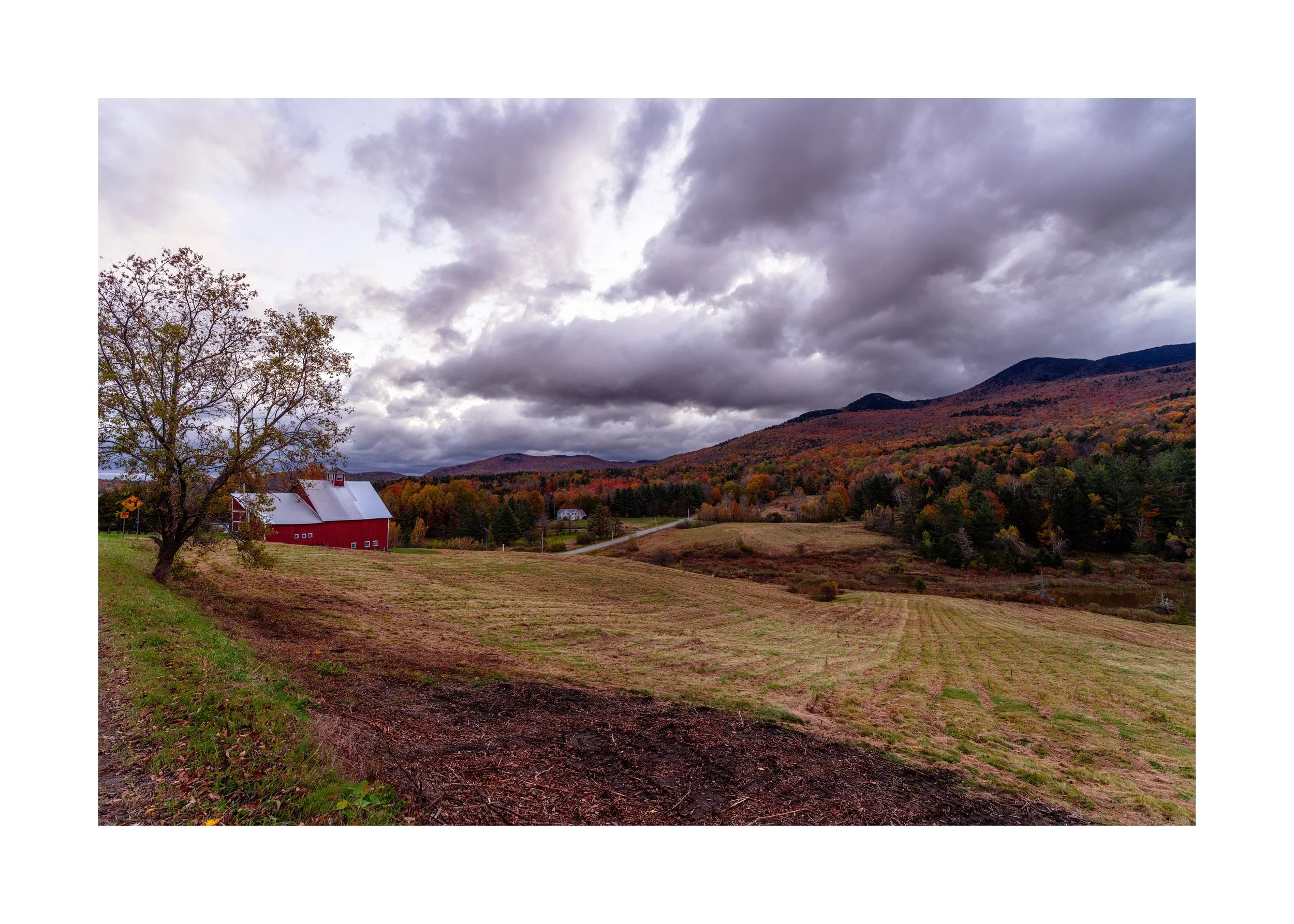 IMGC9771 28x20 2.125 CAT-L.jpg