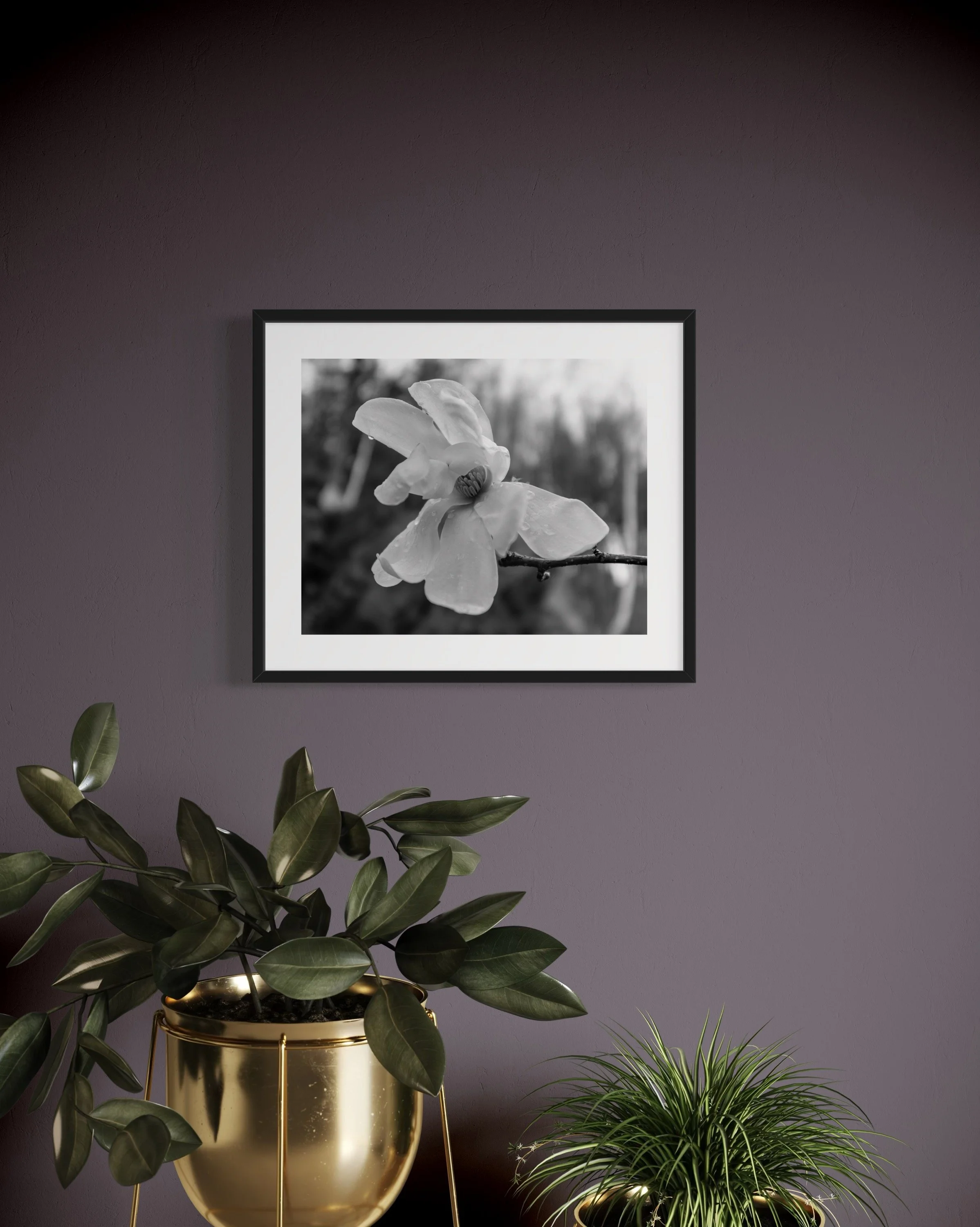 IMGF2006 20x24 2.125 FRAME.JPG