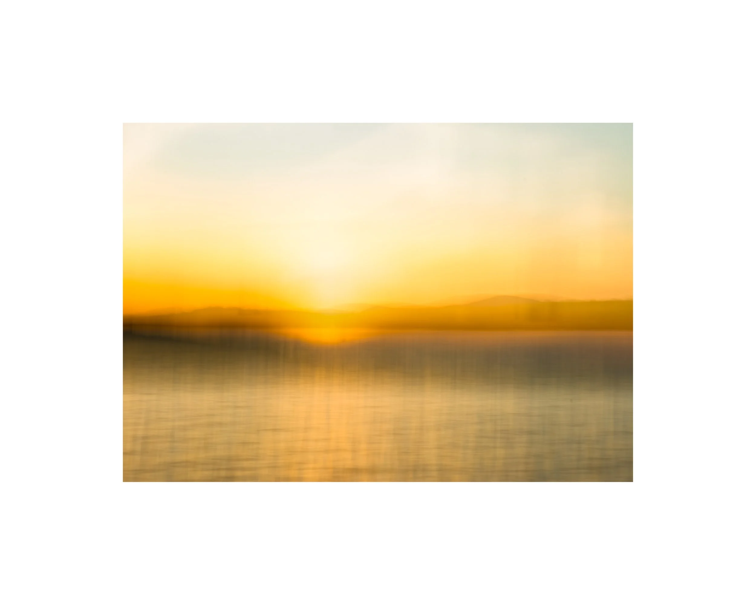 IMGB3496 EE2 8x10 1.625 CAT.jpg