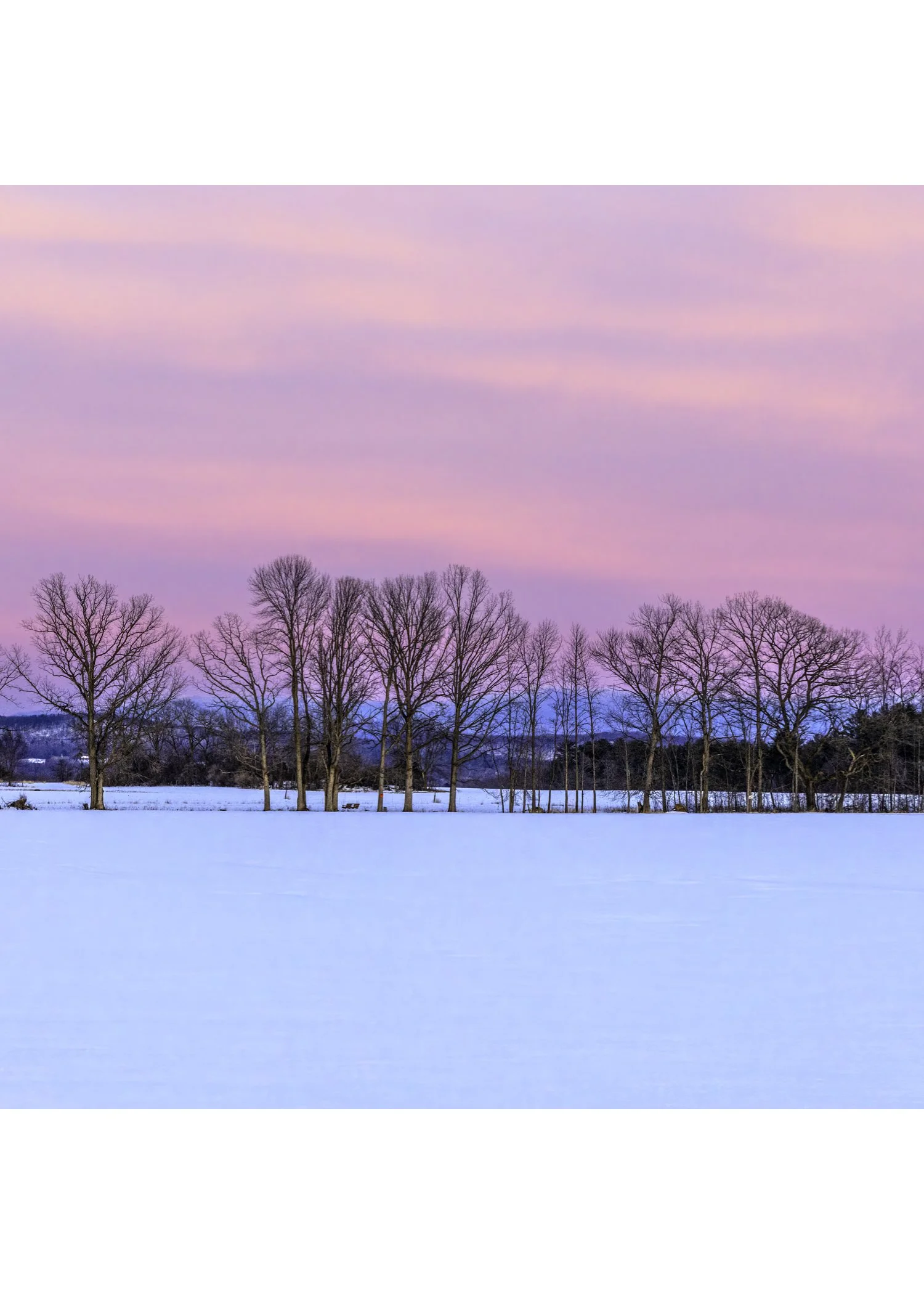 IMGA5300 NOTECARD CENTER BASE 7x5 CAT.jpg