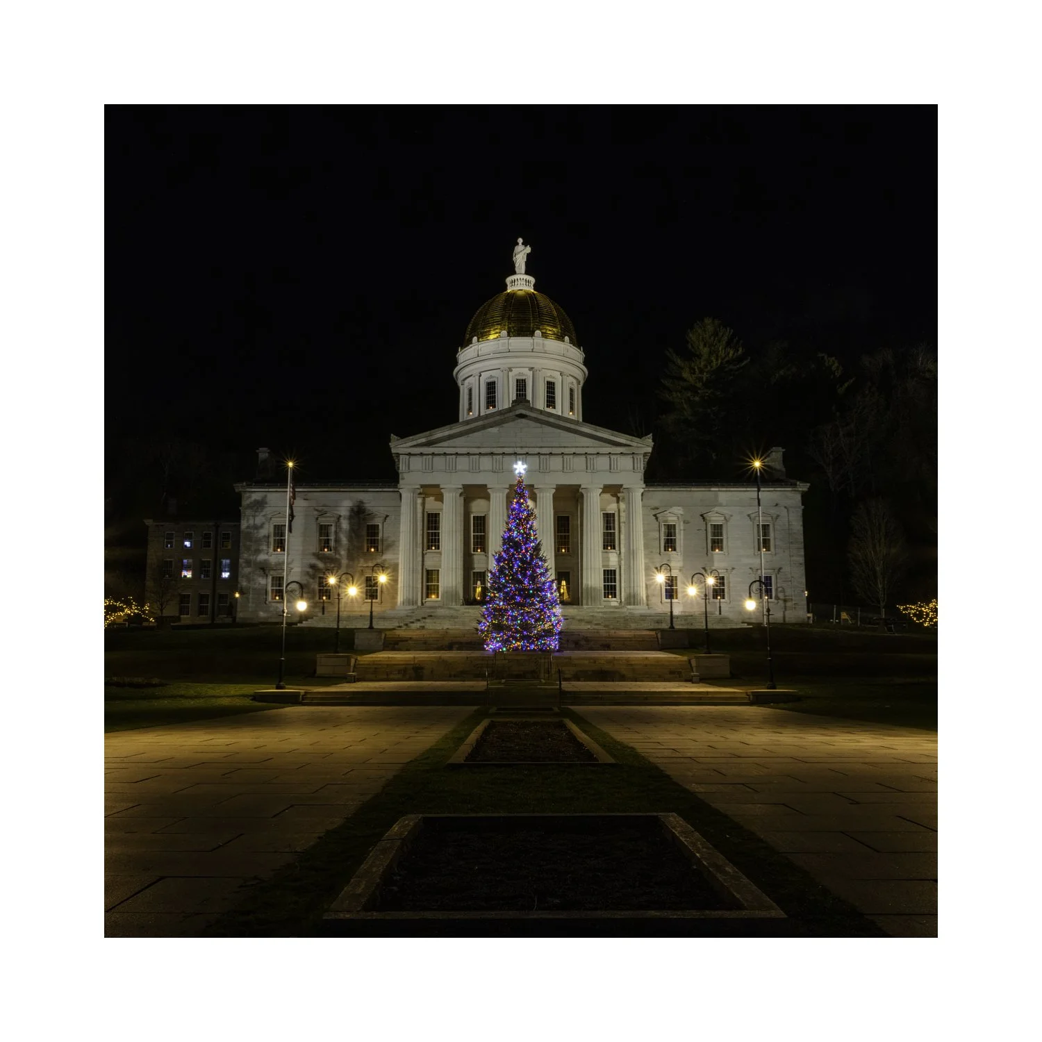 IMGA2532 5x5 0.5 CAT.jpg