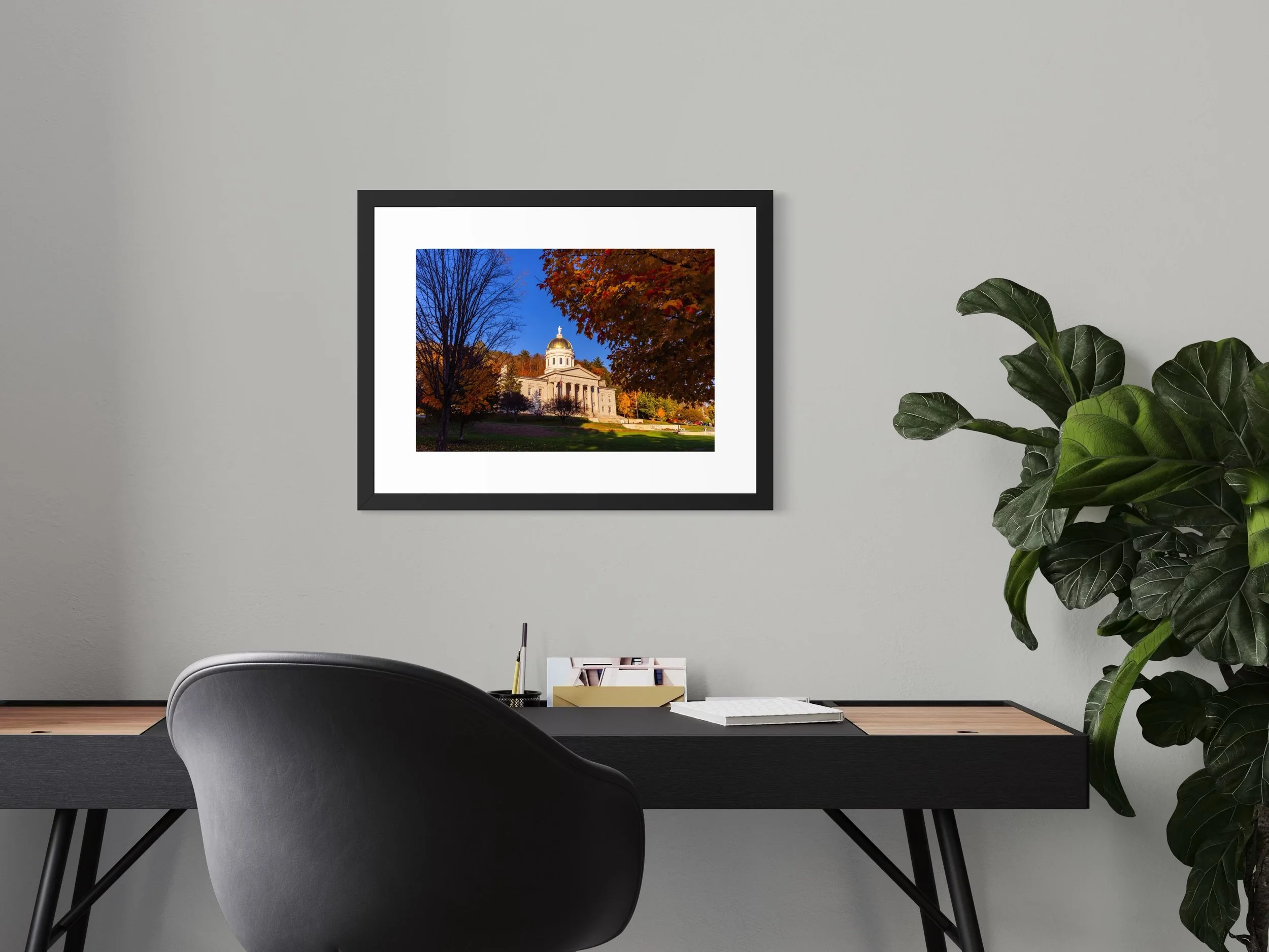 IMGD0264 18X24 2.625 FRAME.JPG