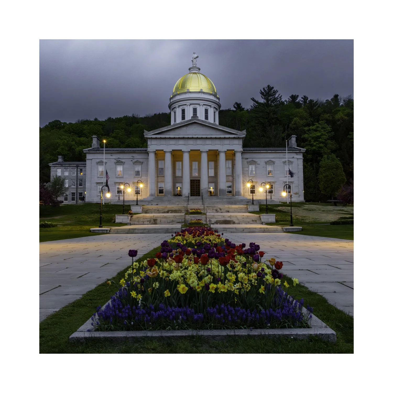 IMGA9706 5x5 0.5 CAT.jpg